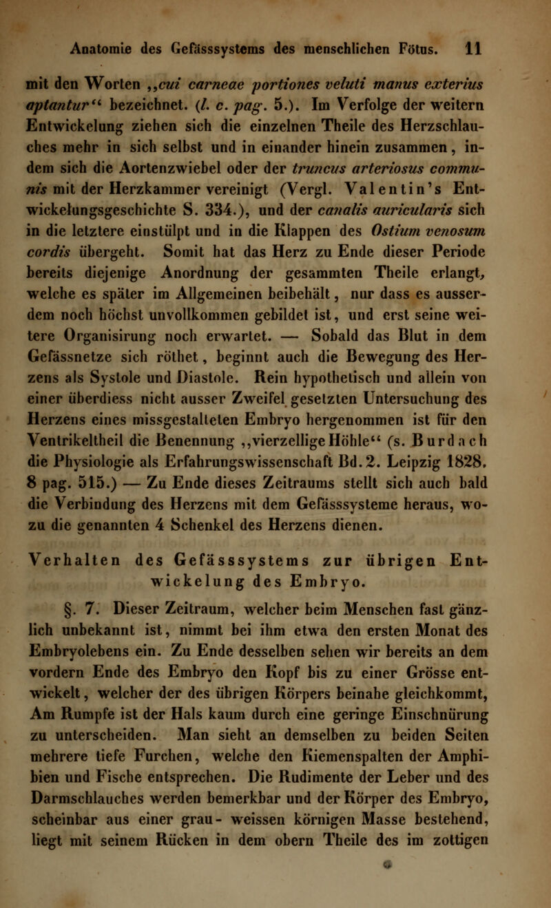 mit den Worten 99cm carneae portiones veluti manus exterius aptantur bezeichnet. (/. c. pag. 5.). Im Verfolge der weitern Entwickelang ziehen sich die einzelnen Theile des Herzschlau- ches mehr in sich selbst und in einander hinein zusammen, in- dem sich die Aortenzwiebel oder der truncus arteriosus commu- nis mit der Herzkammer vereinigt (Vergl. Valentin's Ent- wicklungsgeschichte S. 334.), und der canalis auricularis sich in die letztere einstülpt und in die Klappen des Ostium venosum cordts übergeht. Somit hat das Herz zu Ende dieser Periode bereits diejenige Anordnung der gesammten Theile erlangt, welche es später im Allgemeinen beibehält, nur dass es ausser- dem noch höchst unvollkommen gebildet ist, und erst seine wei- tere Organisirung noch erwartet. — Sobald das Blut in dem Gefässnetze sich röthet, beginnt auch die Bewegung des Her- zens als Systole und Diastole. Rein hypothetisch und allein von einer überdiess nicht ausser Zweifel gesetzten Untersuchung des Herzens eines missgestalteten Embryo hergenommen ist für den Ventrikeltheil die Benennung ,,vierzelligeHöhle (s. Burdach die Physiologie als Erfahrungswissenschaft Bd. 2. Leipzig 1828, 8 pag. 515.) — Zu Ende dieses Zeitraums stellt sich auch bald die Verbindung des Herzens mit dem Gelasssysteme heraus, wo- zu die genannten 4 Schenkel des Herzens dienen. Verhalten des Gefässsystems zur übrigen Ent- wicklung des Embryo. §. 7. Dieser Zeitraum, welcher beim Menschen fast gänz- lich unbekannt ist, nimmt bei ihm etwa den ersten Monat des Embryolebens ein. Zu Ende desselben sehen wir bereits an dem vordem Ende des Embryo den Kopf bis zu einer Grösse ent- wickelt , welcher der des übrigen Körpers beinahe gleichkommt, Am Rumpfe ist der Hals kaum durch eine geringe Einschnürung zu unterscheiden. Man sieht an demselben zu beiden Seiten mehrere tiefe Furchen, welche den Kiemenspalten der Amphi- bien und Fische entsprechen. Die Rudimente der Leber und des Darmschlauches werden bemerkbar und der Körper des Embryo, scheinbar aus einer grau- weissen körnigen Masse bestehend, liegt mit seinem Rücken in dem obern Theile des im zottigen