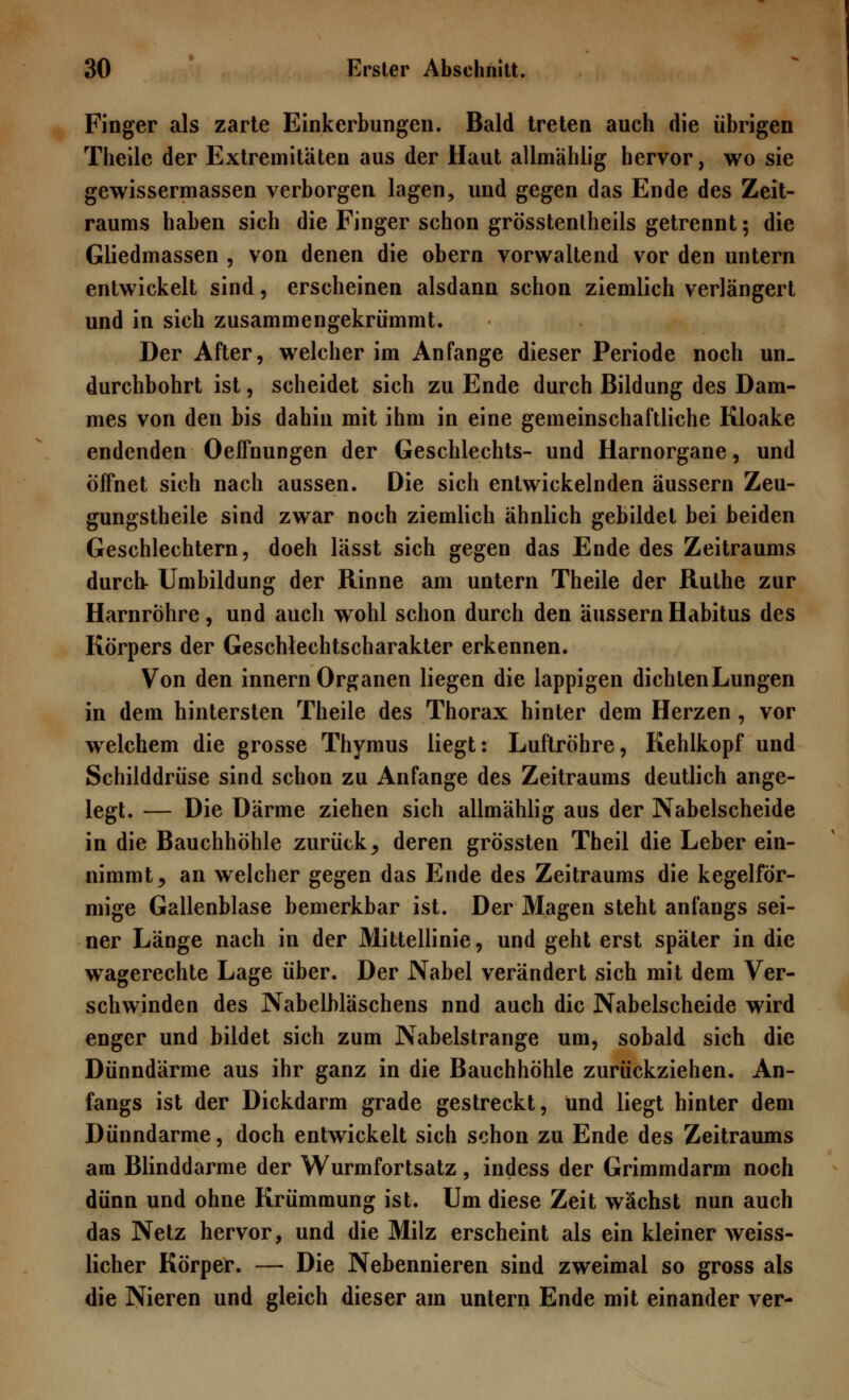 Finger als zarte Einkerbungen. Bald treten auch die übrigen Theile der Extremitäten aus der Haut allmählig hervor, wo sie gewissermassen verborgen lagen, und gegen das Ende des Zeit- raums haben sich die Finger schon grösstenteils getrennt; die Gliedmassen , von denen die obern vorwaltend vor den untern entwickelt sind, erscheinen alsdann schon ziemlich verlängert und in sich zusammengekrümmt. Der After, welcher im Anfange dieser Periode noch un. durchbohrt ist, scheidet sich zu Ende durch Bildung des Dam- mes von den bis dahin mit ihm in eine gemeinschaftliche Kloake endenden OefTnungen der Geschlechts- und Harnorgane, und öffnet sich nach aussen. Die sich entwickelnden äussern Zeu- gungstheile sind zwar noch ziemlich ähnlich gebildet bei beiden Geschlechtern, doeh lässt sich gegen das Ende des Zeitraums durch- Umbildung der Rinne am untern Theile der Ruthe zur Harnröhre, und auch wohl schon durch den äussern Habitus des Körpers der Geschlechtscharakter erkennen. Von den innern Organen liegen die lappigen dichtenLungen in dem hintersten Theile des Thorax hinter dem Herzen, vor welchem die grosse Thymus liegt: Luftröhre, Kehlkopf und Schilddrüse sind schon zu Anfange des Zeitraums deutlich ange- legt. — Die Därme ziehen sich allmählig aus der Nabelscheide in die Bauchhöhle zurück^ deren grössten Theil die Leber ein- nimmt ^ an welcher gegen das Ende des Zeitraums die kegelför- mige Gallenblase bemerkbar ist. Der Magen steht anfangs sei- ner Länge nach in der Mittellinie, und geht erst später in die wagerechte Lage über. Der Nabel verändert sich mit dem Ver- schwinden des Nabelbläschens nnd auch die Nabelscheide wird enger und bildet sich zum Nabelstrange um, sobald sich die Dünndärme aus ihr ganz in die Bauchhöhle zurückziehen. An- fangs ist der Dickdarm grade gestreckt, und liegt hinter dem Dünndarme, doch entwickelt sich schon zu Ende des Zeitraums am Blinddarme der Wurmfortsatz , indess der Grimmdarm noch dünn und ohne Krümmung ist. Um diese Zeit wächst nun auch das Netz hervor, und die Milz erscheint als ein kleiner weiss- licher Körper. — Die Nebennieren sind zweimal so gross als die Nieren und gleich dieser am untern Ende mit einander ver-