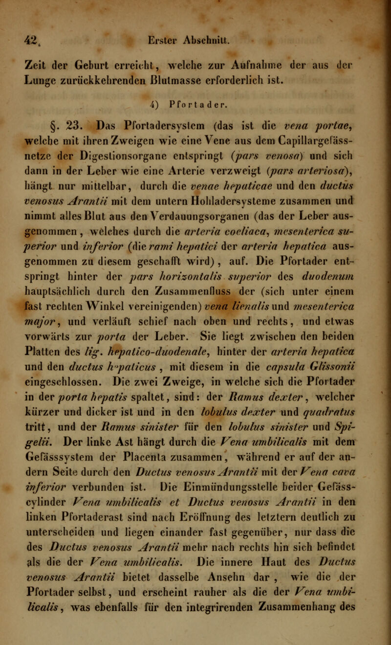 Zeit der Geburt erreicht, welche zur Aufnahme der aus der Lunge zurückkehrenden ßlulmasse erforderlich ist. 4) Pfortader. §. 23. Das Pfortadersystem (das ist die vena portae, welche mit ihren Zweigen wie eine Vene aus dem Capillargefäss- netze der Digestionsorgane entspringt (pars venosa) und sich dann in der Leber wie eine Arterie verzweigt (pars arteriosd), hängt nur mittelbar, durch die venae hepaticae und den duetus venosus Arantii mit dem untern Hollladersysteme zusammen und nimmt alles Blut aus den Verdauungsorganen (das der Leber aus- genommen , welches durch die arlcria cocliaca, mesenterica su- perior und inferior (die rami hepatici der arteria hepatica aus- genommen zu diesem geschafft wird) , auf. Die Pfortader ent- springt hinter der pars horizontalis superior des duodenum hauptsächlich durch den Zusammenfluss der (sich unter einem fast rechten Winkel vereinigenden) vena lienalis und mesenterica major, und verläuft schief nach oben und rechts, und etwas vorwärts zur porta der Leber. Sie liegt zwischen den beiden Platten des lig. hepatico-duodenale, hinter der arteria hepatica und den duetus hyaticus , mit diesem in die Capsula Glissonii eingeschlossen. Die zwei Zweige, in welche sich die Pfortader in der poria hepatis spaltet, sind: der Ramus dexter, welcher kürzer und dicker ist und in den lobulus dexter und quadratus tritt, und der Ramus sinister für den lobulus sinisier und Spi- gelii. Der linke Ast hängt durch die Vena umbilicalis mit dem Gefässsystem der Placenla zusammen, während er auf der an- dern Seite durch den Ductus venosus Arantii mit der Vena cava inferior verbunden ist. Die Einmündungsstelle beider Gefäss- cylinder Vena umbilicalis et Ductus venosus Arantii in den linken Pfortaderast sind nach Eröffnung des letztern deutlich zu unterscheiden und liegen einander fast gegenüber, nur dass die des Ductus venosus Arantii mehr nach rechts hin sich befindet als die der Vena umbilicalis. Die innere Haut des Ductus venosus Arantii bietet dasselbe Ansehn dar , wie die der Pfortader selbst, und erscheint rauher als die der Vena umbi- licalis , was ebenfalls für den integrirenden Zusammenhang des