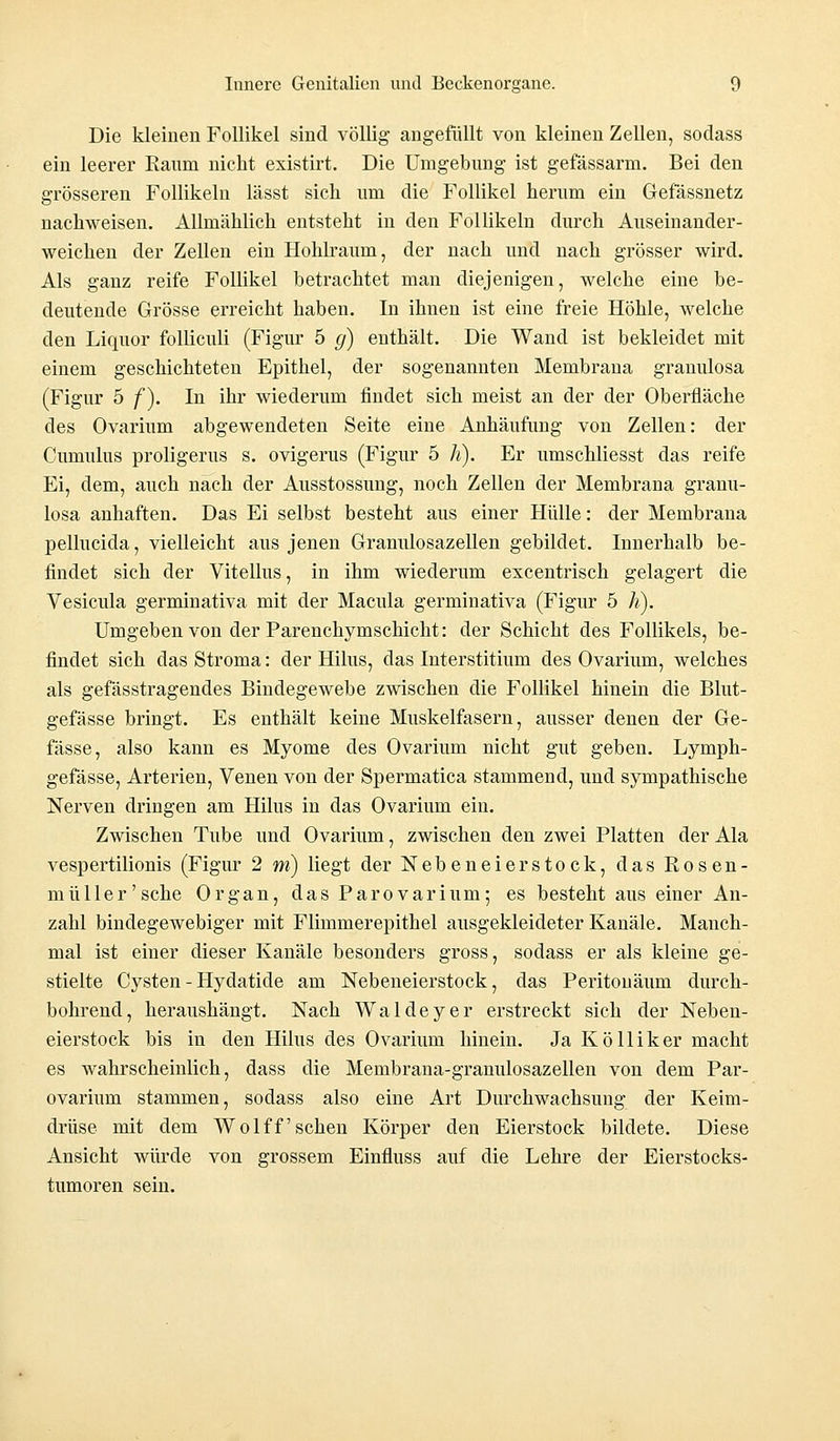 Die kleinen Follikel sind völlig angefüllt von kleinen Zellen, sodass ein leerer Raum nickt existirt. Die Umgebung ist gefässarm. Bei den grösseren Follikeln lässt sieb, um die Follikel herum ein Gefässnetz nachweisen. Allmählich entsteht in den Follikeln durch Auseinander- weichen der Zellen ein Hohlraum, der nach und nach grösser wird. Als ganz reife Follikel betrachtet man diejenigen, welche eine be- deutende Grösse erreicht haben. In ihnen ist eine freie Höhle, welche den Liquor folliculi (Figur 5 g) enthält. Die Wand ist bekleidet mit einem geschichteten Epithel, der sogenannten Membrana granulosa (Figur 5 f). In ihr wiederum findet sich meist an der der Oberfläche des Ovarium abgewendeten Seite eine Anhäufung von Zellen: der Cumulus proligerus s. ovigerus (Figur 5 h). Er umschliesst das reife Ei, dem, auch nach der Ausstossung, noch Zellen der Membrana granu- losa anhaften. Das Ei selbst besteht aus einer Hülle: der Membrana pellucida, vielleicht aus jenen Granulosazellen gebildet. Innerhalb be- findet sich der Vitellus, in ihm wiederum excentrisch gelagert die Vesicula germinativa mit der Macula germinativa (Figur 5 h\ Umgeben von der Parenchymschicht: der Schicht des Follikels, be- findet sich das Stroma: der Hilus, das Interstitium des Ovarium, welches als gefässtragendes Bindegewebe zwischen die Follikel hinein die Blut- gefässe bringt. Es enthält keine Muskelfasern, ausser denen der Ge- fässe, also kann es Myome des Ovarium nicht gut geben. Lymph- gefässe, Arterien, Venen von der Spermatica stammend, und sympathische Nerven dringen am Hilus in das Ovarium ein. Zwischen Tube und Ovarium, zwischen den zwei Platten der Ala vespertilionis (Figur 2 m) liegt der Nebeneierstock, das Rosen- müller'sehe Organ, dasParovarium; es besteht aus einer An- zahl bindegewebiger mit Flimmerepithel ausgekleideter Kanäle. Manch- mal ist einer dieser Kanäle besonders gross, sodass er als kleine ge- stielte Cysten - Hydatide am Nebeneierstock, das Peritonäum durch- bohrend, heraushängt. Nach Waldeyer erstreckt sich der Neben- eierstock bis in den Hilus des Ovarium hinein. Ja Kölliker macht es wahrscheinlich, dass die Menibrana-granulosazellen von dem Par- ovarium stammen, sodass also eine Art Durchwachsuug der Keim- drüse mit dem Wolff sehen Körper den Eierstock bildete. Diese Ansicht würde von grossem Einfluss auf die Lehre der Eierstoeks- tumoren sein.