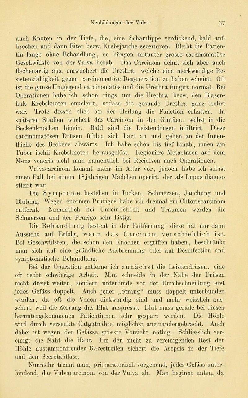 auch Knoten in der Tiefe, die, eine Schamlippe verdickend, bald auf- brechen und dann Eiter bezw. Krebsjauche secerniren. Bleibt die Patien- tin lange ohne Behandlung, so hängen mitunter grosse carcinomatöse Geschwülste von der Vulva herab. Das Carcinom dehnt sich aber auch flächenartig aus, umwuchert die Urethra, welche eine merkwürdige Re- sistenzfähigkeit gegen carcinomatöse Degeneration zu haben scheint. Oft ist die ganze Umgegend carcinomatös und die Urethra fungirt normal. Bei Operationen habe ich schon rings um die Urethra bezw. den Blasen- hals Krebsknoten enucleirt, sodass die gesunde Urethra ganz isolirt war. Trotz dessen blieb bei der Heilung die Function erhalten. In späteren Stadien wuchert das Carcinom in den Glutäen, selbst in die Beckenknochen hinein. Bald sind die Leistendrüsen infiltrirt. Diese carcinomatösen Drüsen fühlen sich hart an und gehen an der Innen- fläche des Beckens abwärts. Ich habe schon bis tief hinab, innen am Tuber ischii Krebsknoten herausgelöst. Regionäre Metastasen auf dem Mons veneris sieht man namentlich bei Recidiven nach Operationen. Vulvacarcinom kommt mehr im Alter vor, jedoch habe ich selbst einen Fall bei einem 18jährigen Mädchen operirt, der als Lupus diagno- sticirt war. Die Symptome bestehen in Jucken, Schmerzen, Jauchung und Blutung. Wegen enormen Prurigos habe ich dreimal ein Clitoriscarcinom entfernt. Namentlich bei Unreinlichkeit und Traumen werden die Schmerzen und der Prurigo sehr lästig. Die Behandlung besteht in der Entfernung; diese hat nur dann Aussicht auf Erfolg, wenn das Carcinom verschieblich ist. Bei Geschwülsten, die schon den Knochen ergriffen haben, beschränkt man sich auf eine gründliche Ausbrennung oder auf Desinfection und symptomatische Behandlung. Bei der Operation entferne ich zunächst die Leistendrüsen, eine oft recht schwierige Arbeit. Man schneide in der Nähe der Drüsen nicht dreist weiter, sondern unterbinde vor der Durchschneidung erst jedes Gefäss doppelt. Auch jeder ^,Strang muss doppelt unterbunden werden, da oft die Venen dickwandig sind und mehr weisslich aus- sehen, weil die Zerrung das Blut auspresst. Blut muss gerade bei diesen heruntergekommenen Patientinnen sehr gespart werden. Die Höhle wird durch versenkte Catgutnähte möglichst aneinandergebracht. Auch dabei ist wegen der Gefässe grösste Vorsicht nöthig. Schliesslich ver- einigt die Naht die Haut. Ein den nicht zu vereinigenden Rest der Höhle austamponirender Gazestreifen sichert die Asepsis in der Tiefe und den Secretabfluss. Nunmehr trennt man, präparatorisch vorgehend, jedes Gefäss unter- bindend, das Vulvacarcinom von der Vulva ab. Man beginnt unten, da