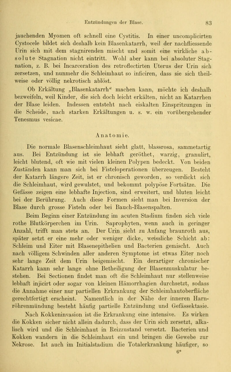 jauchenden Myomen oft schnell eine Cystitis. In einer uncomplicirten Cystocele bildet sich deshalb kein Blasenkatarrh, weil der nachfliessende Urin sich mit dem stagnirenden mischt und somit eine wirkliche ab- solute Stagnation nicht eintritt. Wohl aber kann bei absoluter Stag- nation, z. B. bei Incarceration des retroflectirten Uterus der Urin sich zersetzen, und nunmehr die Schleimhaut so inficiren, dass sie sich theil- weise oder völlig nekrotisch ablöst. Ob Erkältung „Blasenkatarrh machen kann, möchte ich deshalb bezweifeln, weil Kinder, die sich doch leicht erkälten, nicht an Katarrhen der Blase leiden. Indessen entsteht nach eiskalten Einspritzungen in die Scheide, nach starken Erkältungen u. s. w. ein vorübergehender Tenesmus vesicae. Anatomie. Die normale Blasenschleimhaut sieht glatt, blassrosa, sammetartig aus. Bei Entzündung ist sie lebhaft geröthet, warzig, granulirt, leicht blutend, oft wie mit vielen kleinen Polypen bedeckt. Von beiden Zuständen kann man sich bei Fisteloperationen überzeugen. Besteht der Katarrh längere Zeit, ist er chronisch geworden, so verdickt sich die Schleimhaut, wird gewulstet, und bekommt polypöse Fortsätze. Die Gefässe zeigen eine lebhafte Injection, sind erweitert, und bluten leicht bei der Berührung. Auch diese Formen sieht man bei Inversion der Blase durch grosse Fisteln oder bei Bauch-Blasenspalten. Beim Beginn einer Entzündung im acuten Stadium finden sich nele rothe Blutkörperchen im Urin. Saprophyten, wenn auch in geringer Anzahl, trifft man stets an. Der Urin sieht zu Anfang braunroth aus, später setzt er eine mehr oder weniger dicke, weissliche Schicht ab: Schleim und Eiter mit Blasenepithelien und Bacterien gemischt. Auch nach völligem Schwinden aller anderen Symptome ist etwas Eiter noch sehr lange Zeit dem Urin beigemischt. Ein derartiger chronischer Katarrh kann sehr lange ohne Betheiligung der Blasenmuskulatur be- stehen. Bei Sectionen findet man oft die Schleimhaut nur stellenweise lebhaft injicii't oder sogar von kleinen Hämorrhagien durchsetzt, sodass die Annahme einer nur partiellen Erkrankung der Schleimhautoberfläche gerechtfertigt erscheint. Namentlich in der Nähe der inneren Harn- röhrenmündung besteht häufig partielle Entzündung und Gefässektasie. Nach Kokkeninvasion ist die Erkrankung eine intensive. Es wirken die Kokken sicher nicht allein dadurch, dass der Urin sich zersetzt, alka- lisch wird und die Schleimhaut in Reizzustand versetzt. Bacterien und Kokken wandern in die Schleimhaut ein und bringen die Gewebe zur Nekrose. Ist auch im Initialstadium die Totalerkrankung häufiger, so 6*