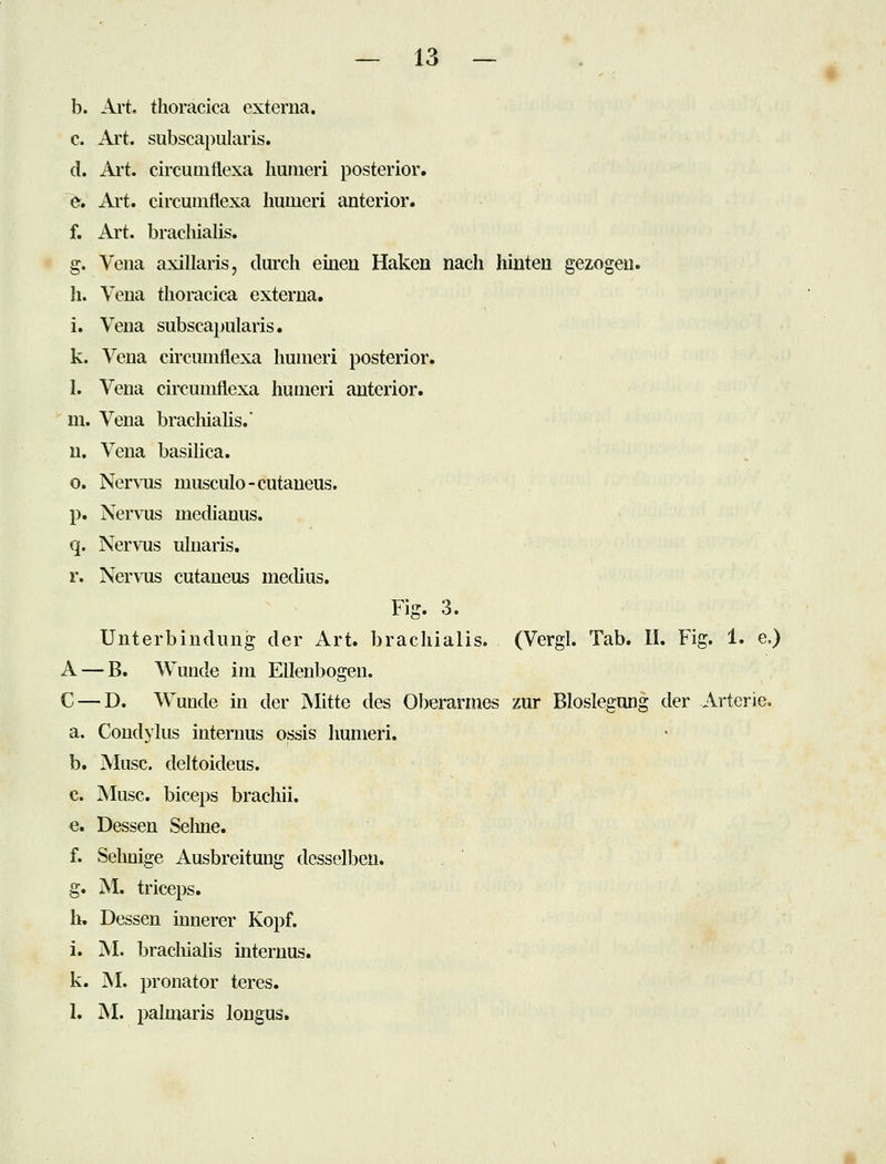 b. Art. thoracica externa. c. Art. subscapularis. d. Ai't. circumflexa huineri posterior. >. Ai't. circumflexa liumeri anterior. f. Art. bracliialis. g. Vena axillaris, durch einen Haken nach hinten gezogen. h. Vena thoracica externa. i. Vena subscapularis. k. Vena cu'cumflexa hunieri posterior. 1. Vena circumflexa huuieri anterior. m. Vena brachialis.' u. Vena basilica. 0. Ner\Tis musculo-cutaneus. p. NerM^is medianus. q. Nervus ulnaris. r. Nervus cutaneus medius. Fig. 3. Unterbindung der Art. brachialis. (Vergl. Tab. II. Fig. 1. e,) A — B. Wunde im Ellenbogen. C — D. Wunde in der Mitte des Oberarmes zur Bloslegung der Arterie, a. Condylus internus ossis hunieri. b. Muse, deltoideus. c. Muse, biceps brachii. e. Dessen Seline. f. Sehnige Ausbreitung desselben. g. M. triceps. li. Dessen innerer Kopf. i. M. brachialis internus, k. M. Pronator teres. 1. M. palmaris longus.