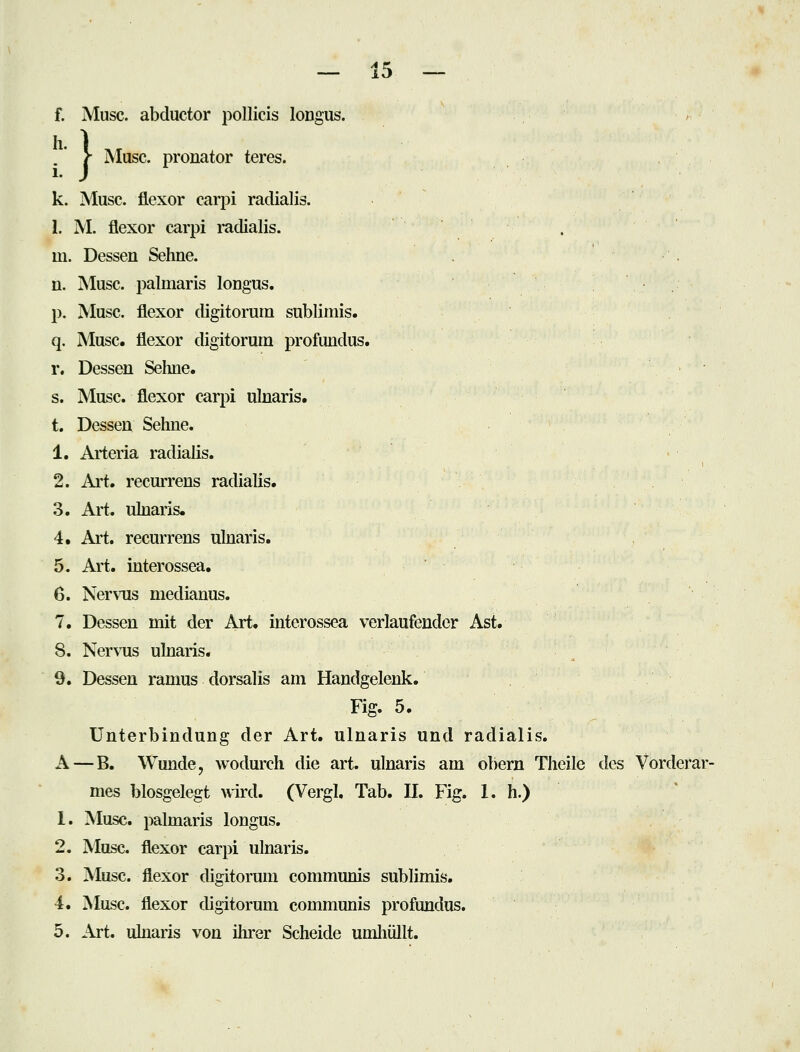 f. Muse, abductor pollicis longiis. * . * 5- Muse. Pronator teres. k. Muse, flexor earpi radialis. 1. M. flexor carpi radialis. m. Dessen Sehne. n. iSIusc. palmaris longus. p. Muse, flexor digitorum subliniis. q. Muse, flexor digitorum profundus. r. Dessen Seline. s. Muse, flexor carpi ulnaris. t. Dessen Sehne. 1. Arteria radialis. 2. Ai't. recurrens radialis. 3. Art. ulnaris. 4. Art. recurrens ulnaris. 5. Art. interossea. 6. Nervus medianus. 7. Dessen mit der Art. interossea verlaufender Ast. 8. Nervus ulnaris. 9. Dessen ramus dorsalis am Handgelenk. Fig. 5. Unterbindung der Art. ulnaris und radialis. A — B. Wunde, wodurch die art. ulnaris am obern Theile des Vorderar- mes blosgelegt wird. (Vergl. Tab. IL Fig. 1. h.) 1. Muse, palmaris longus. 2. Muse, flexor carpi ulnaris. 3. Muse, flexor digitorum communis sublimis. 4. Muse, flexor digitorum communis profundus. 5. Art. ulnaris von ihrer Scheide umhüllt.