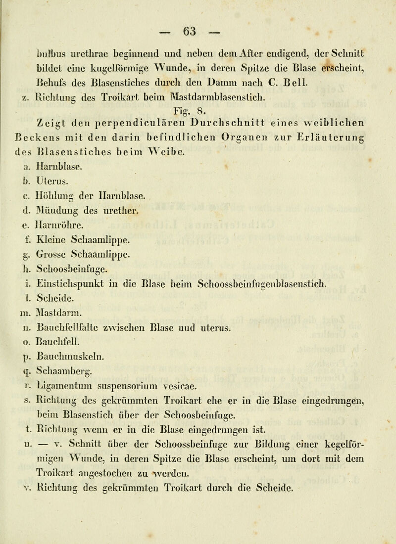 buMjus iiretlirae beginnend und neben dem After endigend, der Schnitt bildet eine kugelförmige Wunde, in deren Spitze die Blase erscheint, Behufs des Blasenstiches durch den Damm nach C. Bell z. Richtung des Troikart beim Mastdarmblasenstich. Fig. 8. Zeigt den perpendiculären Durchschnitt eines weibliclien Beckens mit den darin befindlichen Organen zur Erläuterung des Blasenstiches beim Weibe. a. Harnblase. b. Uterus. c. Höhlung der Harnblase. d. IMüudung des urether. e. Harnröhre. f. Kleine Schaamlippe. g. Grosse Schaamlippe. h. Schoosbeinfuge. i. Einstichspunkt in die Blase beim Schoossbeinfugenblasenstich. 1. Scheide, m. Mastdarm. n. Bauchfeilfalte zwischen Blase und uterus. o. Bauchfell. p. Bauchmuskeln. q. Schaamberg. r. Ligamentum Suspensorium vesicae. s. Richtung des gekrümmten Troikart ehe er in die Blase eingedrungen, beim Blasenstich über der Schoosbeinfuge. t. Richtung wenn er in die Blase eingedrungen ist. u. — V. Schnitt über der Schoossbeinfuge zur Bildung einer kegelför- migen Wunde, in deren Spitze die Blase erscheint, um dort mit dem Troikart angestochen zu werden. V. Richtung des gekrümmten Troikart durch die Scheide.