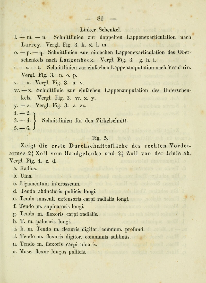 Linker Schenkel. 1. — m. — n. Schnittlinien zur doppelten Lappenexarticulation nach Larrey. Vergl. Fig. 3. k. X. 1. m. 0. — p. — q. Schnittlinien zur einfachen Lappenexarticulation des Ober- schenkels nach Langenbeck. Vergl. Fig. 3. g. h. i. r. — s. — t. Schnittlinien zur einfachen Lappenamputation nach Verduin. Vergl. Fig. 3. n. o. p. V. — u. Vergl. Fig. 3. u. v. w. — X. Schnittlinie zur einfachen Lappenamputation des Unterschen- kels. Vergl. Fig. 3. w. x. y. y. — z. Vergl. Fig. 3. z. zz. 1. — 2. 3. — 4. }• Sclmittlinien für den Zirkelsclmitt. 5.-6. } Fig. 5. Zeigt die erste Durchschnittsfläche des rechten Vorder- armes 2| Zoll vom Handgelenke und 2^ Zoll von der Linie ab. Vergl. Fig. 1. c. d. a. Radius. b. ülna. c. Ligamentum interosseum. d. Tendo abductoris poUicis longi. e. Tendo musculi extensoris carpi radialis longi. f. Tendo m. supinatoris longi. g. Tendo m. flexoris carpi radialis. h. T. m. palmaris longi. i. k. m. Tendo m. flexoris digitor. commun. profund. 1. Tendo m. flexoris digitor. commmiis sublimis. n. Tendo m. flexoris carpi ulnaris. o. Muse, flexor longus pollicis.