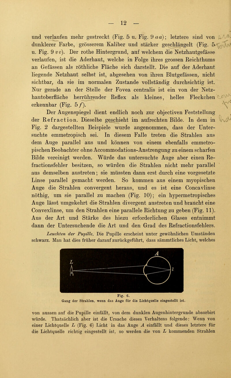 und verlaufen mehr gestreckt (Fig. 5 u. Fig. 9«a); letztere sind von i dunklerer Farbe, grösserem Kaliber und stärker geschlängelt (Fig. 5 u. Fig. 9 vv). Der rothe Hintergrund, auf welchem die Netzhautgefässe verlaufen, ist die Aderhaut, welche in Folge ihres grossen Reichthums an Gefässen als röthliche Fläche sich darstellt. Die auf der Aderhaut liegende Netzhaut selbst ist, abgesehen von ihren Blutgefässen; nicht sichtbar, da sie im normalen Zustande vollständig durchsichtig ist. Nur gerade an der Stelle der Fovea centralis ist ein von der Netz- hautoberfläche herrührender Reflex als kleines, helles Fleckchen erkennbar (Fig. 5/). Der Augenspiegel dient endlich noch zur objectiven Feststellung der Refraction. Dieselbe geschieht im aufrechten Bilde. In dem in Fig. 2 dargestellten Beispiele wurde angenommen, dass der Unter- suchte emmetropisch sei. In diesem Falle treten die Strahlen aus dem Auge parallel aus und können von einem ebenfalls emmetro- pischen Beobachter ohne Accommodations-Anstrengung zu einem scharfen Bilde vereinigt werden. Würde das untersuchte Auge aber einen Re- fractionsfehler besitzen, so würden die Strahlen nicht mehr parallel aus demselben austreten; sie müssten dann erst durch eine vorgesetzte Linse parallel gemacht werden. So kommen aus einem myopischen Auge die Strahlen convergent heraus, und es ist eine Concavlinse nöthig, um sie parallel zu machen (Fig. 10); ein hypermetropisches Auge lässt umgekehrt die Strahlen divergent austreten und braucht eine Convexlinse, um den Strahlen eine parallele Richtung zu geben (Fig. 11). Aus der Art und Stärke des hiezu erforderlichen Glases entnimmt dann der Untersuchende die Art und den Grad des Refractionsfehlers. Leuchten der Pupille. Die Pupille erscheint unter gewöhnlichen Umständen schwarz. Man hat dies früher darauf zurückgeführt, dass sämmtliches Licht, welches Fig. 6. Gang der Strahlen, wenn das Auge für die Lichtquelle eingestellt ist. von aussen auf die Pupille einfällt, von dem dunklen Augenhintergrunde absorbirt würde. Thatsächlich aber ist die Ursache dieses Verhaltens folgende: Wenn von einer Lichtquelle L (Fig. 6) Licht in das Auge A einfällt und dieses letztere für die Lichtquelle richtig eingestellt ist, so werden die von L kommenden Strahlen