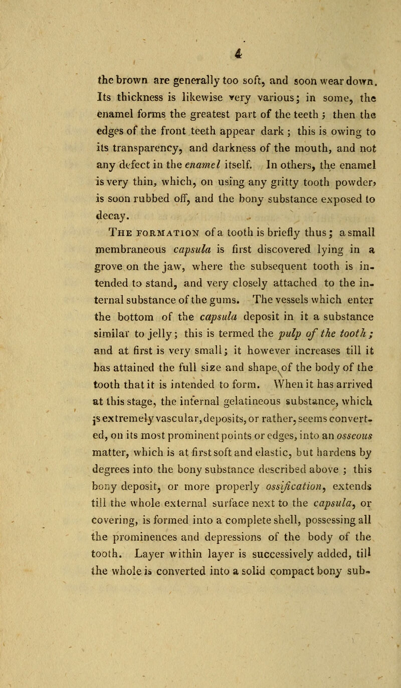 the brown are generally too soft, and soon wear down, Its thickness is likewise very various; in some, the enamel forms the greatest part of the teeth ; then the edges of the front teeth appear dark ; this is owing to its transparency, and darkness of the mouth, and not any defect in the enamel itself. In others, the enamel is very thin, which, on using any gritty tooth powder> is soon rubbed off, and the bony substance exposed to decay. The formation of a tooth is briefly thus; asmali membraneous capsula is first discovered lying in a grove on the jaw, where the subsequent tooth is in- tended to stand, and very closely attached to the in- ternal substance of the gums. The vessels which enter the bottom of the capsula deposit in it a substance similar to jelly; this is termed the pulp of the tooth ; and at first is very small; it however increases till it has attained the full size and shape of the body of the tooth that it is intended to form. When it has arrived at this stage, the internal gelatineous substance, which js extremely vascular,deposits, or rather, seems convert- ed, on its most prominent points or edges, into an osseous matter, which is at first soft and elastic, but hardens by degrees into the bony substance described above ; this bony deposit, or more properly ossification, extends till the whole external surface next to the capsula, or covering, is formed into a complete shell, possessing all the prominences and depressions of the body of the tooth. Layer within layer is successively added, till the whole is converted into a solid compact bony sub-