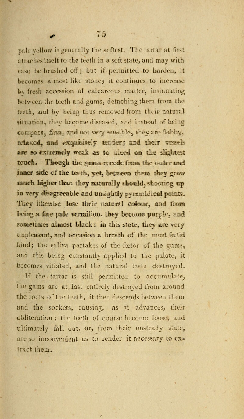 pale yellow is generally the softest. The tartar at first attaches itself to the teeth in a soft state, and may with ease be brushed off; but if permitted to harden, it becomes almost like stone3 it continues to increase by fresh accession of calcareous matter, insinuating between the teeth and gums, detaching them from the teeth, and by being thus removed from their natural situation, they become diseased., and instead of being compactj fiim, and not very sensible,; they are flabby, relaxed, and exqoi&ittclj teDfe-; aiad their vts&ttis are so extremely m«?$ik as to bleed osa the slliglhtest touch. Though the gums recede from the o^ter and inner side of the teeth, yet, between them they grow much higher than they naturally should, shouting up in very disagreeable and unsightly pyramidical poinds. TLey likewise lose their natural colour, and froin being a fine pale vermilion, they become purple, and sometimes almost black: in this state, they are very unpleasant, and occasion a breath of the most foetid kind; the saliva partakes of the fetor of the gums, and this being constantly applied to the palate, it becomes vitiated, and the natural taste destroyed. If the tartar is still permitted to accumulate,, the gums are at last entirely destroyed from around the roots of the teeth, it then descends between them and the sockets, causing, as it advances, their obliteration ; the teeth of course become loose, and ultimately fall out, or, from their unsteady state, are so inconvenient as to render it necessary to ex- tract them.