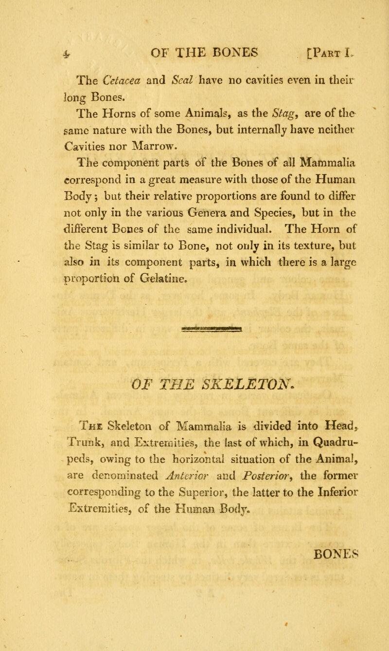 The Cetacea and Seal have no cavities even in their long Bones. The Horns of some Animals, as the Stag, are of the same nature with the Bones, but internally have neither Cavities nor Marrow. The component parts of the Bones of all Mammalia correspond in a great measure with those of the Human Body; but their relative proportions are found to differ not only in the various Genera and Species, but in the different Bones of the same individual. The Horn of the Stag is similar to Bone, not only in its texture, but also in its component parts, in which there is a large proportion of Gelatine, OF THE SKELETON. The Skeleton of Mammalia is divided into Head, Trunk, and Extremities, the last of which, in Quadru- peds, owing to the horizontal situation of the Animal, are denominated Anterior and Posterior, the former corresponding to the Superior, the latter to the Inferior Extremities, of the Human Body. BONES