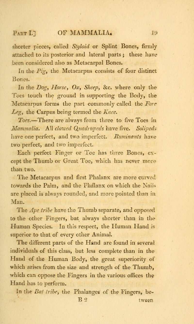 shorter pieces, called Styloid or Splint Bones, firmly attached to its posterior and lateral parts ; these have been considered also as Metacarpal Bones. In the Pig, the Metacarpus consists of four distinct Bones. In the Dogy Horse, Ox, Sheep, &c* where only the Toes touch the ground in supporting the Body, the Metacarpus forms the part commonly called the Foi^e Leg, the Carpus being termed the Knee. Toes.—There are always from three to five Toes in Mammalia, All cla'wed Qiiadniveds have five. Solipeds: have one perfect, and two imperfect. Ituminants have two perfect, and two imperfect. Each perfect Finger or Toe has three Bones, ex- cept the Thumb or Great Toe, which has never more than two. The Metacarpus and first Phalanx are more corveci towards the Palm, and the Phalanx on which the Nails are placed is always rounded, and more pointed than in Man. The Ape tribe have the Thumb separate, and opposed to the other Fingers, bat always shorter than in the Human Species. In this respect, the Pluman Hand is superior to that of every other Animal. The different parts of the Hand are found in several individuals of this class, but less complete than in the Hand of the Human Body, the great superiority of which arises from the size and strength of the Thumb, which can oppose the Fingers in the various offices th^ Hand has to perform. In the Bat tribe, the Phalanges of the Fingers, be- B 2 tween