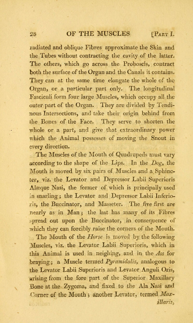 radiated and oblique Fibres approximate the Skin and the Tubes without contracting tlie cavity of the latter. The others, which go across the Proboscis, contract both the surface of the Organ and the Canals it contains. They can at the same time elongate the v^^hole of the Organ, or a particular part only. The longitudinal Fasciculi form four large Muscles, which occupy all the outer part of the Organ. They are divided by Tendi- nous Intersections, and take their origin behind from die Bones of the Face, They serve to shorten the whole or a part, and give that extraordinary power which the Animal possesses of moving the Snout in every direction. The Muscles of the Mouth of Quadrupeds must vary according to the shape of the Lips. In the Dog^ the Mouth is moved by six pairs of Muscles and a Sphinc- ter, viz. the Levator and Depressor Labii Superioris Alaeque Nasi, the former of which is principally used in snarling; the Levator and Depressor Labii Inferio- lis, the Buccinator, and Masseter. The five first are Ti early as in Man; the last has many of its Fibres ,~pread out upon the Buccinator, in consequence of which they can forcibly raise the corners of the Mouth. The Mouth of the Horse is moved by the following Muscles, viz. the Levator Labii Superioris, which in this Animal is used in neighing, and in the Ass for braying; a Muscle termed Pyramidalis^ analogous to the Levator Labii Superioris and Levator Anguli Oris, arising from the fore part of the Superior Maxillary Bone at the Zygoma, and fixed to the Ala Nasi and Corner of the Mouth; another Levator, termed Max- illariss