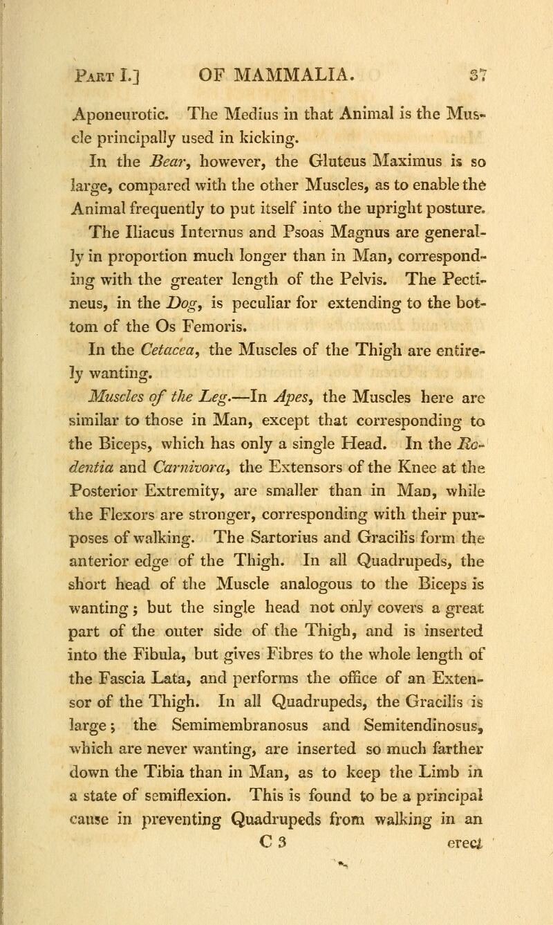 Aponeurotic. The Medius in that Animal is the Mus- cle principally used in kicking. In the Bear, however, the Gluteus Maximus is so large, compared with the other Muscles, as to enable Xht Animal frequently to put itself into the upright posture. The Iliacus Internus and Psoas Magnus are general- ly in proportion much longer than in Man, correspond- ing with the greater length of the Pelvis. The Pecti- neus, in the Dog, is peculiar for extending to the bot- tom of the Os Femoris. In the Cetacea, the Muscles of the Thigh are entire- ly wanting. Muscles of the Leg.—In Apes, the Muscles here are similar to those in Man, except that corresponding to the Biceps, which has only a single Head. In the i?c- dentia and Carnivora, the Extensors of the Knee at the Posterior Extremity, are smaller than in Man, while the Flexors are stronger, corresponding with their pur- poses of walking. The Sartorius and Gracilis form the anterior edge of the Thigh. In all Quadrupeds, the short head of the Muscle analogous to the Biceps is wanting; but the single head not only covers a great part of the outer side of the Thigh, and is inserted into the Fibula, but gives Fibres to the whole length of the Fascia Lata, and performs the office of an Exten- sor of the Thigh. In all Quadrupeds, the Gracilis is large; the Semimembranosus and Semitendinosus, which are never wanting, are inserted so much farther down the Tibia than in Man, as to keep the Limb in a state of semiflexion. This is found to be a principal cause in preventing Quadrupeds from walking in an C 3 erec^.