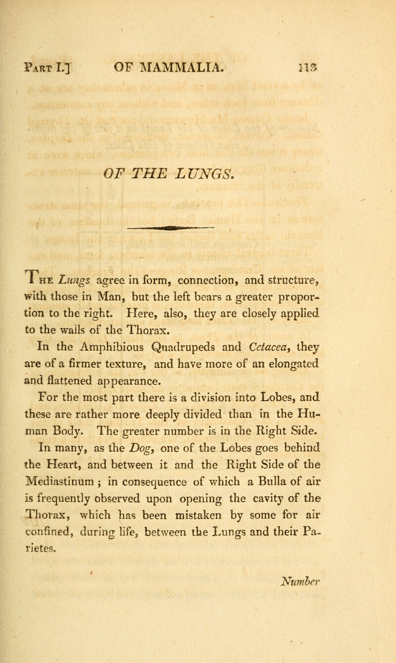 OF THE LUNGS. i HE Lungs agree in form, connection, and structure^ with those in Man, but the left bears a greater propor- tion to the right. Here, also, they are closely applied to the wails of the Thorax. In the Amphibious Quadrupeds and Cetacea^ they are of a firmer texture, and have more of an elongated and jflattened appearance. For the most part there is a division into Lobes, and these are rather more deeply divided than in the Hu- man Body. The greater number is in the Right Side. In many, as the Dog, one of the Lobes goes behind the Heart, and between it and the Right Side of the Mediastinum ; in consequence of which a Bulla of air is frequently observed upon opening the cavity of the Thorax, which has been mistaken by some for air confined, during life, betv/een the Lungs and their Pa. rietes. Number