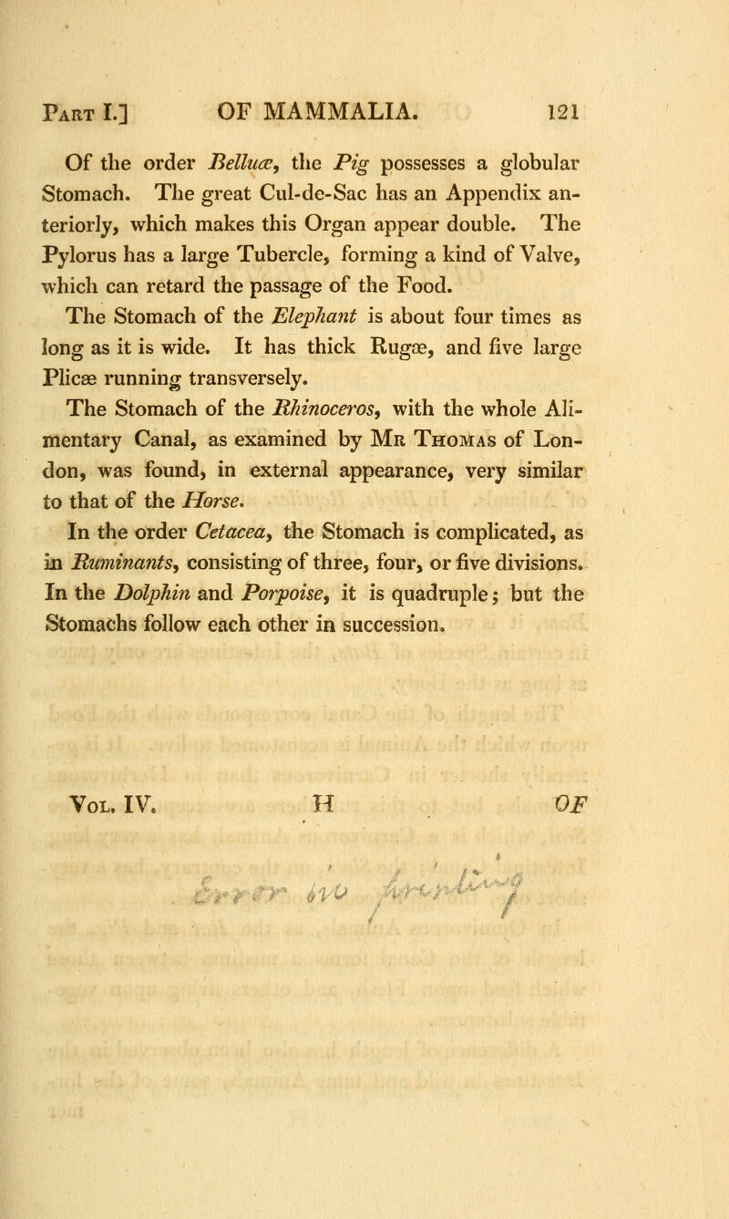 Of the order Bellua;, the Pig possesses a globular Stomach. The great Cul-de-Sac has an Appendix an- teriorly, which makes this Organ appear double. The Pylorus has a large Tuberclej forming a kind of Valve, which can retard the passage of the Food. The Stomach of the Elephant is about four times as long as it is wide. It has thick Rugas, and five large Plicae running transversely. The Stomach of the Rhinoceros^ with the whole Ali- mentary Canal, as examined by Mr Thomas of Lon- don, was found, in external appearance, very similar to that of the Horse, In the order Cetacea^ the Stomach is complicated, as IB Ruminants, consisting of three, four, or five divisions. In the Dolphin and Porpoise, it is quadruple; but the Stomachs follow each other in succession. Vol. IV. H OF «