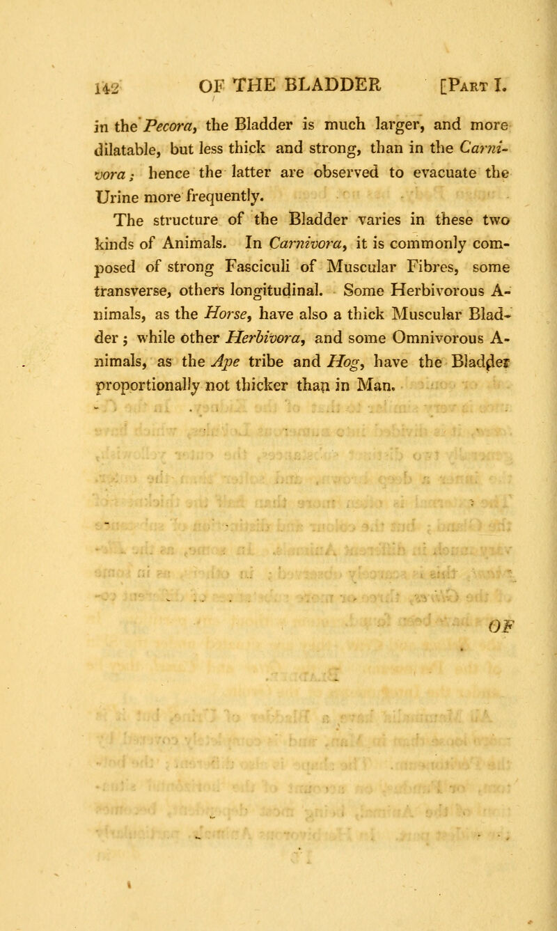 in the Pecora, the Bladder is much larger, and more dilatable, but less thick and strong, than in the Carni- jora; hence the latter are observed to evacuate the Urine more frequently. The structure of the Bladder varies in these two kinds of Animals. In Carnivora^ it is commonly com- posed of strong Fasciculi of Muscular Fibres, some transverse, others longitudinal. Some Herbivorous A- nimals, as the Horse, have also a thick Muscular Blad* der ; while other Herhimra, and some Omnivorous A- nimals, as the Ape tribe and Hog, have the Bladder proportionally not thicker than in Man. OF