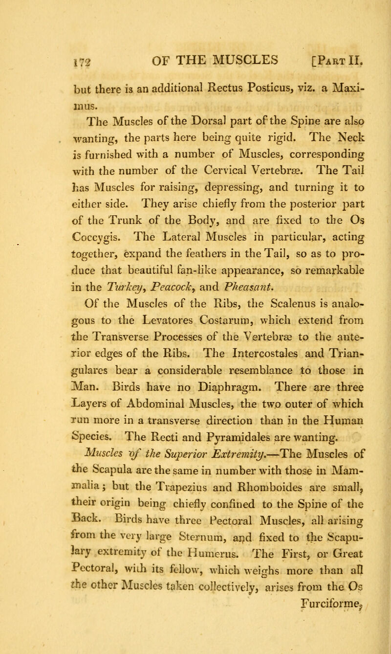 but there is an additional Rectus Posticus, viz. a Maxi- mus. The Muscles of the Dorsal part of the Spine are also wanting, the parts here being quite rigid. The Neck is furnished with a number of Muscles, corresponding with the number of the Cervical Vertebra. The Tail has Muscles for raising, depressing, and turning it to either side. They arise chiefly from the posterior part of the Trunk of the Body, and are fixed to the Os Coccygis. The Lateral Muscles in particular, acting together, expand the feathers in the Tail, so as to pro- duce that beautiful fan-like appearance, so remarkable in the Turkey^ Peacock^ and Pheascmt. Of the Muscles of the Ribs, the Scalenus is analo- gous to the Levatores Costarum, which extend from the Transverse Processes of the Vertebrae to the ante- rior edges of the Ribs. The Intercostales and Trian- gulares bear a considerable resemblance to those in Man. Birds have no Diaphragm. There are three Layers of Abdominal Muscles, the two outer of which run more in a transverse direction than in the Human Species. The Recti and Pyramidales are wanting. Muscles -of the Superior Extremity,—The Muscles of the Scapula are the same in number with those in Mam- malia ; but the Trapezius and Rhomboides are small, their origin being chiefly confined to the Spine of the Back. Birds have three Pectoral Muscles, all arising from the very large Sternum, ai?d fixed to the Scapu- lary extremity of the Humerus. The First, or Great Pectoral, with its fellow, which weighs more than all the other Muscles taken collectively, arises from the Os Furciformec,