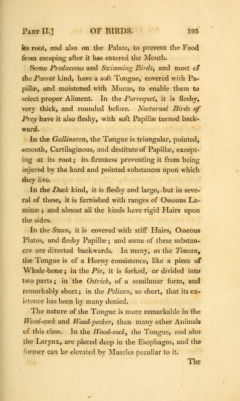 Its root, and also on the Palate, to prevent the Food trom escaping after it has entered the Mouth. Some Predaceous and S'l^imming BirdSy and most of the Parrot kind, have a soft Tongue, covered with Pa- pillae, and moistened with Mucus, to enable them to select proper Aliment. In the Purroquet, it is fleshy, very thick, and rounded before. Nocturnal Birds of Prey have it rfso fleshy, with soft Papillae turned back- ward, \n the Gallinaceay the Tongue is triangular, pointed, -smooth. Cartilaginous, and destitute of Papillae, except- ing at its root; its firmness preventing it from being injured by the hard and pointed substances upon which they live. In the Duck kind, it is fleshy and large, but in seve- ral of these, it is furnished with ranges of Osseous La- minae ; and almost all the kinds have rigid Hairs upon the sides. In the Sxva?i, it is covered with stiff Hairs, Osseous Plates, and fleshy Papillae; and some of these substan- ces are directed backwards. In many, as the Toucan, the Tongue is of a Horny consistence, like a piece of Whale-bone; in the Pie^ it is forl^ed, or divided into two parts; in the Ostrich^ of a semilunar form, and remarkably short; in the Pelican^ so short, that its ex- istence has been by many denied. The nature of the Tongue is more remarkable in the Wood-cock and Wood-pecker, than many other Animals pf this class. In the Wood-cock, the Tongue, and also |;he Larynx, are placed deep in the Esophagus, and the former can be elevated by Muscles peculiar to it.