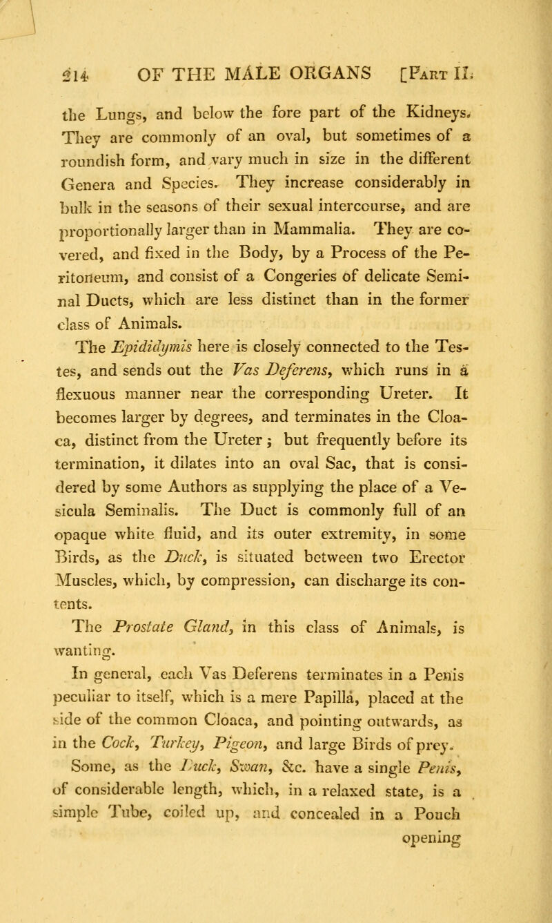 the Lungs, and below the fore part of the Kidneys. They are commonly of an oval, but sometimes of a roundish form, and vary much in size in the different Genera and Species. They increase considerably in bulk in the seasons of their sexual intercourse, and are proportionally larger than in Mammalia. They are co- vered, and fixed in the Body, by a Process of the Pe- ritoneum, and consist of a Congeries of dehcate Semi- nal Ducts, which are less distinct than in the former class of Animals. The Epididi/mis here is closely connected to the Tes- tes, and sends out the Vas Deferens, v;hich runs in a flexuous manner near the corresponding Ureter. It becomes larger by degrees, and terminates in the Cloa- ca, distinct from the Ureter ; but frequently before its termination, it dilates into an oval Sac, that is consi- dered by some Authors as supplying the place of a Ve- sicula Seminalis. The Duct is commonly full of an opaque white fluid, and its outer extremity, in some Birds, as the Duck^ is situated between two Erector Muscles, which, by compression, can discharge its con- tents. The Prostate Gland, in this class of Animals, is wanting. In general, each Vas Deferens terminates in a Penis peculiar to itself, which is a mere Papilla, placed at the bide of the common Cloaca, and pointing outwards, as in the Cock, Turkey, Pigeon, and large Birds of prey. Some, as the Luck, Sxmn, &c. have a single Penh, of considerable length, which, in a relaxed state, is a simple Tube, coiled up, and concealed in a Pouch opening