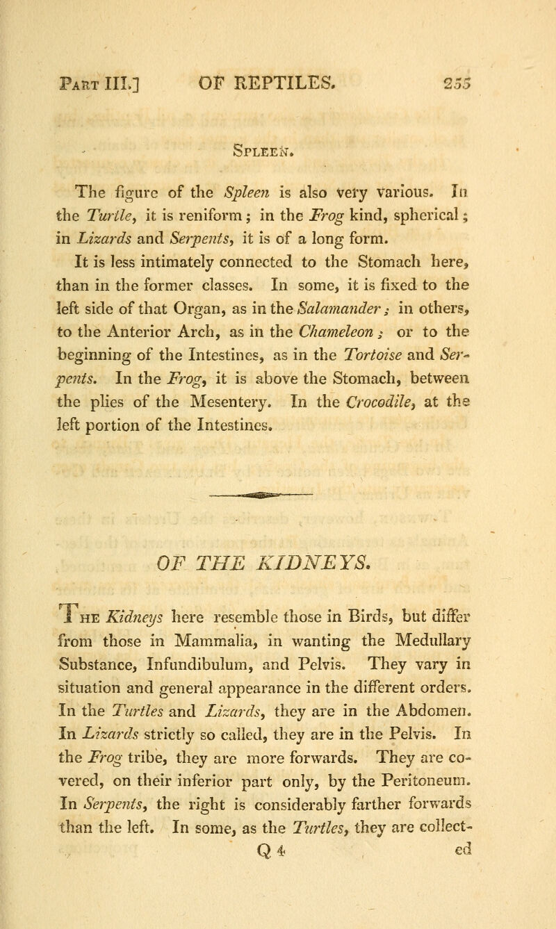 SpleeIt, The figure of the Spleen is also vei'y various. In the Turtle^ it is reniform; in the Frog kind, spherical; in Lizards and Serpents, it is of a long form. It is less intimately connected to the Stomach here, than in the former classes. In some, it is fixed to the left side of that Organ, as in the Sala7nander,- in others, to the Anterior Arch, as in the Chameleon ^ or to the beginning of the Intestines, as in the Tortoise and Ser^ pe?its. In the Frog^ it is above the Stomach, between the plies of the Mesentery. In the Crocodilei at the left portion of the Intestines. OF THE KIDNEYS. J HE Kidneys here resemble those in Birds, but differ from those in Mammalia, in wanting the Medullary Substance, Infundibulum, and Pelvis. They vary in situation and general appearance in the diiferent orders. In the Turtles and Lizards, they are in the Abdomen. In Lizards strictly so called, they are in the Pelvis. In the Frog tribe, they are more forwards. They are co- vered, on their inferior part only, by the Peritoneum. In Serpents, the right is considerably farther forwards than the left. In some, as the Turtlesy they are collect- Q4 ed