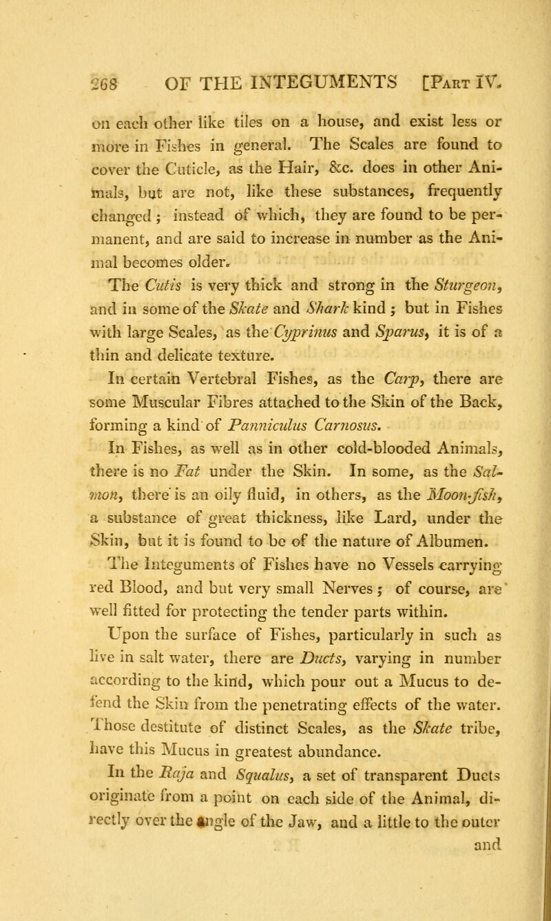 '26S or THE INTEGUMENTS [Part iV- on each other like tiles on a house, and exist less or more in Fishes in general. The Scales are found to cover the Cuticle, as the Hair, &c. does in other Ani- mals, but are not, like these substances, frequently changed ; instead of which, they are found to be per- manent, and are said to increase in number as the Ani- mal becomes older. The Ctiiis is very thick and strong in the Sturgeon, and in some of the Skate and Shark kind ; but in Fishes with large Scales, as the Ct/prinus and Sparus^ it is of a thin and delicate texture. In certain Vertebral Fishes, as the Carp, there are some Muscular Fibres attached to the Skin of the Back, forming a kind of Panniculus Carnosus. In Fishes, as well as in other eold-blooded Animals, there is no Fat under the Skin. In some, as the SaU mon, there is an oily fluid, in others, as the Moon-Jish, a substance of great thickness, like Lard, under the Skin, but it is found to be of the nature of Albumen. Tlie Integuments of Fishes have no Vessels carrying red Blood, and but very small Nerves ; of course, are well fitted for protecting the tender parts within. Upon the surface of Fishes, particularly in such as live in salt water, there are Ducts, varying in number according to the kind, which pour out a Mucus to de- fend the Skin from the penetrating effects of the water. Those destitute of distinct Scales, as the Skate tribe, liave this Mucus in greatest abundance. In the Baja and Squalus, a set of transparent Ducts originate from a point on each side of the Animal, di- rectly over the Ikngle of the Jaw, and a little to the outer and