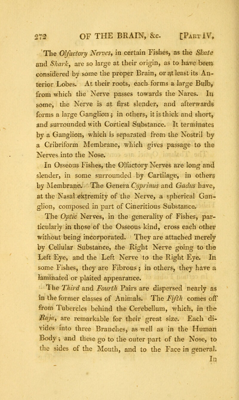 The Olfactory Nerves, in certain Fishes, as the Skate and Shark, are so large at their origin, as to have been considered by some the proper Brain, or ^t least its An- terior Lobes. At their roots, each-forms a large Bulb, from which the Nerve passes towards the Nares. In some, the Nerve is at first slender, and afterwards forms a large Ganglion; in others, it is thick and short, and surrounded with Cortical Substance. It terminates by a Ganglion, which is separated from the Nostril by a Cribriform Membrane, which gives passage to the Nerves into the Nose. In Osseous Fishes, the Olfactory Nerves are long and slender, in some surrounded by Cartilage, in others by Membrane. The Genera Cyprinus and Gadiis have^ at the Nasal ^ktremity of the Nerve, a spherical Gan-^ glion, composed in part of Cineritious Substance. The Optic Nerves, in the generality of Fishes, par- ticularly in those of the Osseous kind, cross each other without being incorporated. They are attached merely by Cellular Substance, the Right Nerve going to the Left Eye, and the Left Nerve to the Right Eye. In some Fishes, they are Fibrous; in others, they have a laminated or plaited appearance. The Third and Fourth Pairs are dispersed nearly as in the former classes of Animals. The Fifth comes oiF from Tubercles behind the Cerebellum, which, in the Maja, are remarkable for their great size. Each di- vides into three Branches, as well as in the Human Body ; and these go to the outer part of the Nose, to the sides of the Mouth, and to the Face in general. In