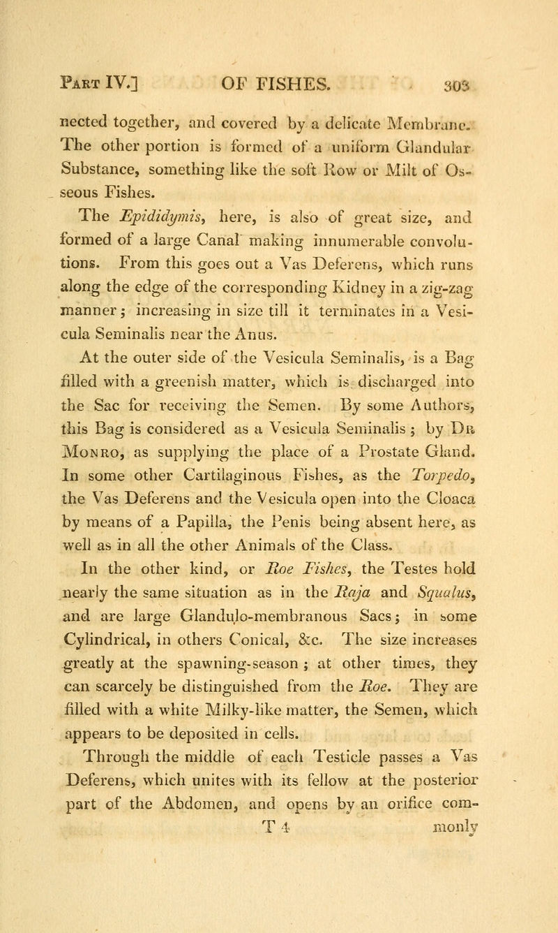 nected together, and covered by a delicate Membrane. The other portion is formed of a uniform Glandular Substance, something like the soft How or Milt of Os- seous Fishes. The Epididymis, here, is also of great size, and formed of a large Canal making innumerable convolu- tions. From this goes out a Vas Deferens, which runs along the edge of the corresponding Kidney in a zig-zag manner; increasing in size till it terminates in a Vesi- cula Seminalis near the Anus. At the outer side of the Vesicula Seminalis, is a Bag filled with a crreenish matter, which is discharoed into the Sac for receiving the Semen. By some Authors, this Bag is considered as a Vesicula Seminalis ; by Dp« MoMRO, as supplying the place of a Prostate Gland. In some other Cartilaginous Fishes, as the Torpedo, the Vas Deferens and the Vesicula open into the Cloaca by means of a Papilla, the Penis being absent here, as well as in all the other Animals of the Class. In the other kind, or Roe Fishes, the Testes hold nearly the same situation as in the Raja and Squaliis, and are large Glandulo-membranous Sacs; in some Cylindrical, in others Conical, &c. The size increases greatly at the spawning-season ; at other times, they can scarcely be distinguished from the Roe, They are filled with a white Milky-like matter, the Semen, which appears to be deposited in cells. Through the middle of each Testicle passes a Vas Deferens, which unites with its fellow at the posterior part of the Abdomen, and opens by an orifice com- T 4 monlj