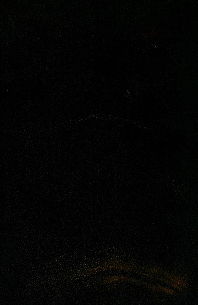 digitised image 1