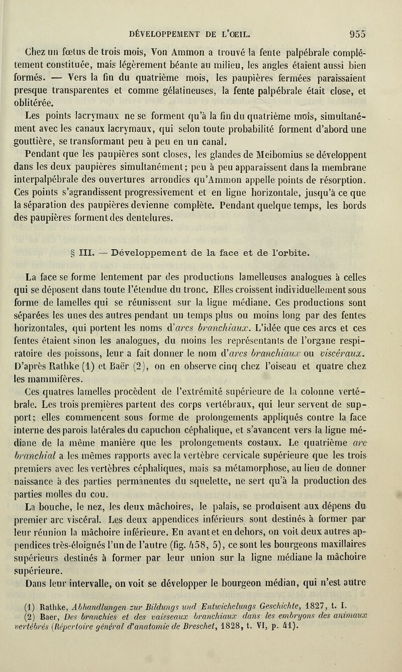 Chez un fœtus de trois mois, Von Ammon a trouvé la fente palpébrale complè- tement constituée, mais légèrement béante au milieu, les angles étaient aussi bien formés. — Vers la fin du quatrième mois, les paupières fermées paraissaient presque transparentes et comme gélatineuses, la fente palpébrale était close, et oblitérée. Les points lacrymaux ne se forment qu'à la fin du quatrième mois, simultané- ment avec les canaux lacrymaux, qui selon toute probabilité forment d'abord une gouttière, se transformant peu à peu en un canal. Pendant que les paupières sont closes, les glandes de Meibomius se développent dans les deux paupières simultanément; peu à peu apparaissent dans la membrane interpalpébrale des ouvertures arrondies qu'Ammon appelle points de résorption. Ces points s'agrandissent progressivement et en ligne horizontale, jusqu'à ce que la séparation des paupières devienne complète. Pendant quelque temps, les bords des paupières forment des dentelures. § III. — Développement de la face et de l'orbite. La face se forme lentement par des productions lamelleuses analogues à celles qui se déposent dans toute l'étendue du tronc. Elles croissent individuellement sous forme de lamelles qui se réunissent sur la ligne médiane. Ces productions sont séparées les unes des autres pendant un temps plus ou moins long par des fentes horizontales, qui portent les noms d'arcs branchiaux. L'idée que ces arcs et ces fentes étaient sinon les analogues, du moins les représentants de l'organe respi- ratoire des poissons, leur a fait donner le nom d'arcs branchiaux ou viscéraux. D'après Rathke (1) et Baër (2), on en observe cinq chez l'oiseau et quatre chez les mammifères. Ces qnatres lamelles procèdent de l'extrémité supérieure de la colonne verté- brale. Les trois premières partent des corps vertébraux, qui leur servent de sup- port; elles commencent sous forme de prolongements appliqués contre la face interne des parois latérales du capuchon céphalique, et s'avancent vers la ligne mé- diane de la même manière que les prolongements costaux. Le quatrième arc branchial a les mêmes rapports avec la vertèbre cervicale supérieure que les trois premiers avec les vertèbres céphaliques, mais sa métamorphose, au lieu de donner naissance à des parties permanentes du squelette, ne sert qu'à la production de& parties molles du cou. La bouche, le nez, les deux mâchoires, le palais, se produisent aux dépens du premier arc viscéral. Les deux appendices inférieurs sont destinés à former par leur réunion la mâchoire inférieure. En avant et en dehors, on voit deux autres ap- pendices très-éloignés l'un de l'autre (fig. A58, 5), ce sont les bourgeons maxillaires supérieurs destinés à former par leur union sur la ligne médiane la mâchoire supérieure. Dans leur intervalle, on voit se développer le bourgeon médian, qui n'est autre (1) Rathke, Abhandlungen zur Bildungs und Entwichelungs Geschichte, 1827, t. I. (2) Baer, Des branchies et des vaisseaux branchiaux dans les embryons des animaux vertébrés (Répertoire général d'anatomie de Breschet, 1828, t. VI,. p. 41).