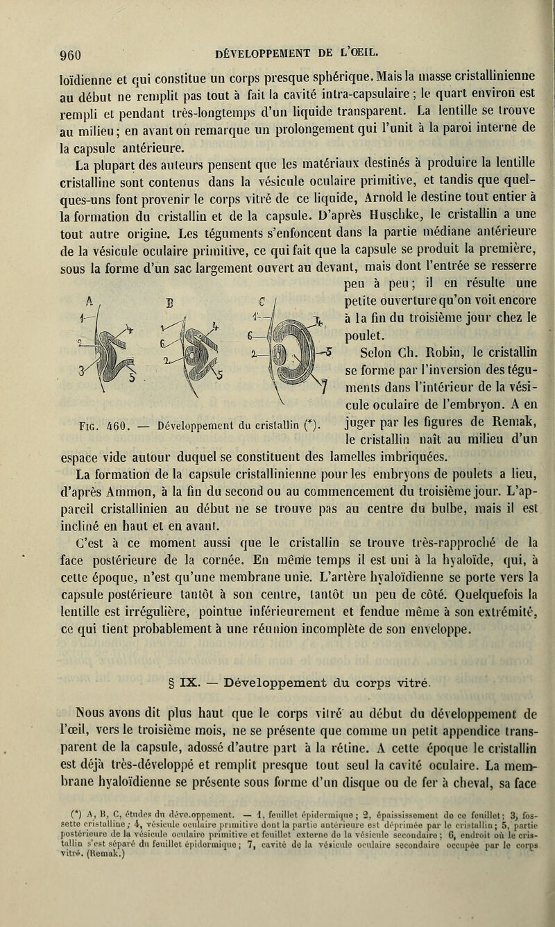 loïdienne et qui constitue un corps presque sphérique.Maisla masse cristallinienne au début ne remplit pas tout à fait la cavité intra-capsulaire ; le quart environ est rempli et pendant très-longtemps d'un liquide transparent. La lentille se trouve au milieu; en avant on remarque un prolongement qui l'unit à la paroi interne de la capsule antérieure. La plupart des auteurs pensent que les matériaux destinés à produire la lentille cristalline sont contenus dans la vésicule oculaire primitive, et tandis que quel- ques-uns font provenir le corps vitré de ce liquide, Arnold le destine tout entier à la formation du cristallin et de la capsule. D'après Hugçhke, le cristallin a une tout autre origine. Les téguments s'enfoncent dans la partie médiane antérieure de la vésicule oculaire primitive, ce qui fait que la capsule se produit la première, sous la forme d'un sac largement ouvert au devant, mais dont l'entrée se resserre peu à peu ; il en résulte une petite ouverture qu'on voit encore à la fin du troisième jour chez le poulet. Selon Ch. Robin, le cristallin se forme par l'inversion des tégu- ments dans l'intérieur de la vési- cule oculaire de l'embryon. A en juger par les figures de Remak, le cristallin naît au milieu d'un espace vide autour duquel se constituent des lamelles imbriquées. La formation de la capsule cristallinienne pour les embryons de poulets a lieu, d'après Ammon, à la fin du second ou au commencement du troisième jour. L'ap- pareil cristallinien au début ne se trouve pas au centre du bulbe, mais il est incliné en haut et en avant. C'est à ce moment aussi que le cristallin se trouve très-rapproché de la face postérieure de la cornée. En même temps il est uni à la hyaloïde, qui, à cette époque, n'est qu'une membrane unie. L'artère hyaloïdienne se porte vers la capsule postérieure tantôt à son centre, tantôt un peu de côté. Quelquefois la lentille est irrégulière, pointue inférieurement et fendue même à son extrémité, ce qui tient probablement à une réunion incomplète de son enveloppe. Fie. Ù60. — Développement du cristallin (*). § IX. — Développement du corps vitré. Nous avons dit plus haut que le corps vitre' au début du développement de l'œil, vers le troisième mois, ne se présente que comme un petit appendice trans- parent de la capsule, adossé d'autre part à la rétine. A cette époque le cristallin est déjà très-développé et remplit presque tout seul la cavité oculaire. La mem- brane hyaloïdienne se présente sous forme d'un disque ou de fer à cheval, sa face (*) A, li, C, études du dévcoppomont. — 1, feuillet épidermicnie; 2, épnississoment de ce feuillet; 3, fos- sette cristalline; 4, vésicule oculaire primitive dont la partie antérieure est déprimée par le cristallin; 5, partie postérieure de la vésicule oculaire primitive et feuillet externe do la vésicule secondaire ; 6, endroit où le cris- tallin s'est séparé du feuillet épidermimie ; 7, cavité delà vé»ieulo oculaire secondaire occupée parle corps vitré. (Hemak.)