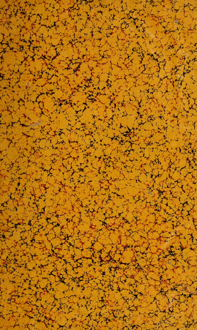 digitised image 3