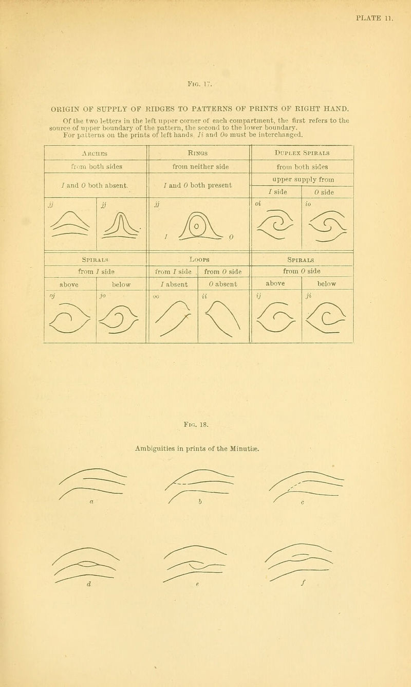 ORIGIN OF SUPPLY OF RIUGES TO PATTERNS OF PRINTS OF RIGHT HAND. Of tlie two letters in the left up))er corner of eacli compartment, the first refers to the source of iijjper boundary of the pattern, the second to the lower boundary. For patterns on the prints of left hands li and Oo must be interchanged. A RC'HBS Rings Duplex Spieals fri'm both sides from neither side from both sides / and 0 both absent. I and 0 both present upper supply from / side 0 side <5V Spirals Loops Spirals from I side from 0 side from 0 side above below / absent 0 absent above FiG. 18. Ambiguities in prints of the Minutiae.