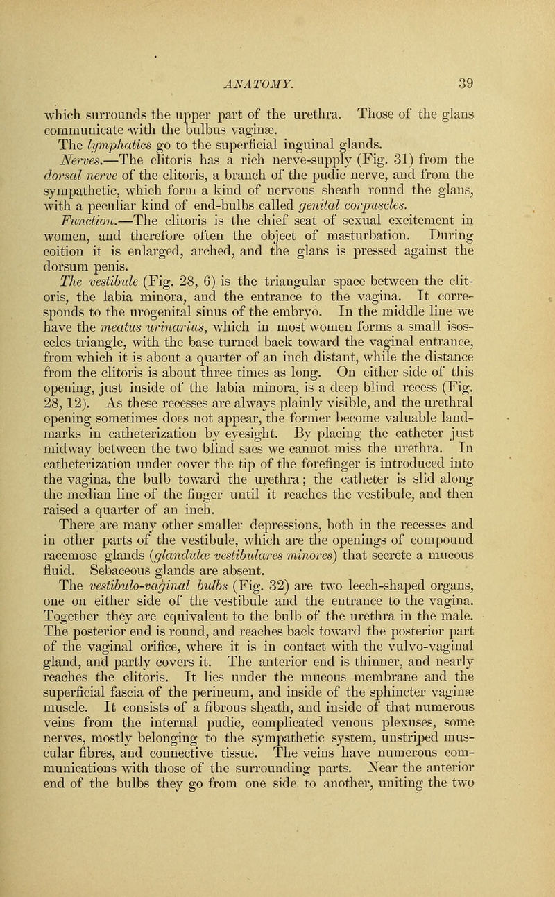 which surrounds the upper part of the urethra. Those of the glans communicate -with the bulbus vaginas. The lymphatics go to the superficial inguinal glands. Nerves.—The clitoris has a rich nerve-supply (Fig. 31) from the dorsal nerve of the clitoris, a branch of the pudic nerve, and from the sympathetic, which form a kind of nervous sheath round the glans, with a peculiar kind of end-bulbs called genital corpuscles. Function.—The clitoris is the chief seat of sexual excitement in women, and therefore often the object of masturbation. During coition it is enlarged, arched, and the glans is pressed against the dorsum penis. The vestibule (Fig. 28, 6) is the triangular space between the clit- oris, the labia minora, and the entrance to the vagina. It corre- sponds to the urogenital sinus of the embryo. In the middle line we have the meatus urinarius, which in most women forms a small isos- celes triangle, with the base turned back toward the vaginal entrance, from which it is about a quarter of an inch distant, while the distance from the clitoris is about three times as long. On either side of this opening, just inside of the labia minora, is a deep blind recess (Fig. 28, 12). As these recesses are always plainly visible, and the urethral opening sometimes does not appear, the former become valuable land- marks in catheterization by eyesight. By placing the catheter just midway between the two blind sacs we cannot miss the urethra. In catheterization under cover the tip of the forefinger is introduced into the vagina, the bulb toward the urethra; the catheter is slid along the median line of the finger until it reaches the vestibule, and then raised a quarter of an inch. There are many other smaller depressions, both in the recesses and in other parts of the vestibule, which are the openings of compound racemose glands [glandulce vestibulares minores) that secrete a mucous fluid. Sebaceous glands are absent. The vestibulo-vaginal bulbs (Fig. 32) are two leech-shaped organs, one on either side of the vestibule and the entrance to the vagina. Together they are equivalent to the bulb of the urethra in the male. The posterior end is round, and reaches back toward the posterior part of the vaginal orifice, where it is in contact with the vulvo-vaginal gland, and partly covers it. The anterior end is thinner, and nearly reaches the clitoris. It lies under the mucous membrane and the superficial fascia of the perineum, and inside of the sphincter vaginas muscle. It consists of a fibrous sheath, and inside of that numerous veins from the internal pudic, complicated venous plexuses, some nerves, mostly belonging to the sympathetic system, unstriped mus- cular fibres, and connective tissue. The veins have numerous com- munications with those of the surrounding parts. Near the anterior end of the bulbs they go from one side to another, uniting the two