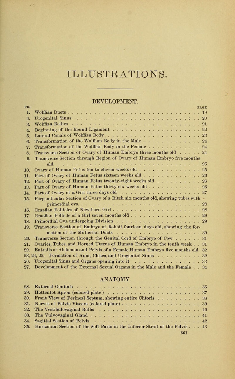 ILLUSTRATIONS. DEVELOPMENT. FIG. PAGE 1. Wolffian Ducts 19 2. Urogenital Sinus ... 20 3. Wolffian Bodies 21 4. Beginning of the Eound Ligament . ■ 22 5. Lateral Canals of Wolffian Body 23 6. Transformation of the Wolffian Body in the Male 24 7. Transformation of the Wolffian Body in the Female 24 8. Transverse Section of Ovary of Human Embryo three months old 24 9. Transverse Section through Begion of Ovary of Human Embryo five months old 25 10. Ovary of Human Fetus ten to eleven weeks old 25 11. Part of Ovary of Human Fetus sixteen weeks old 26 12. Part of Ovary of Human Fetus twenty-eight weeks old 26 13. Part of Ovary of Human Fetus thirty-six weeks old 26 14. Part of Ovary of a Girl three days old 27 15. Perpendicular Section of Ovary of a Bitch six months old, showing tubes with - primordial ova 28 16. Graafian Follicles of New-born Girl 28 17. Graafian Follicle of a Girl seven months old . .29 18. Primordial Ova undergoing Division 29 19. Transverse Section of Embryo of Babbit fourteen days old, showing the for- mation of the Miillerian Ducts 30 20. Transverse Section through the Genital Cord of Embryo of Cow 31 21. Ovaries, Tubes, and Horned Uterus of Human Embryo in the tenth week . . 31 22. Entrails of Abdomen and Pelvis of a Female Human Embryo five months old 32 23. 24, 25. Formation of Anus, Cloaca, and Urogenital Sinus 32 26. Urogenital Sinus and Organs opening into it 33 27. Development of the External Sexual Organs in the Male and the Female . . 34 ANATOMY. 28. External Genitals 36 29. Hottentot Apron (colored plate ) 37 30. Front View of Perineal Septum, showing entire Clitoris 38 31. Nerves of Pelvic Viscera (colored plate) 39 32. The Vestibulovaginal Bulbs 40 33. The Vulvovaginal Gland 41 34. Sagittal Section of Pelvis 42 35. Horizontal Section of the Soft Parts in the Inferior Strait of the Pelvis ... 43