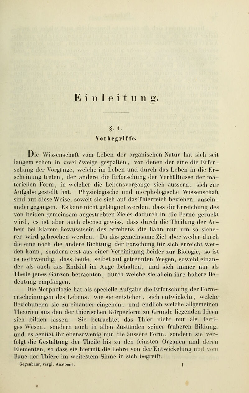 §• 1- Vorbegriffe. Die Wissenschaft vom Leben der organischen Natur hat sich seit langem schon in zwei Zweige gespalten, von denen der eine die Erfor- schung der Vorgänge, welche im Leben und durch das Leben in die Er- scheinung treten, der andere die Erforschung der Verhältnisse der ma- teriellen Form, in welcher die Lebensvorgänge sich äussern, sich zur Aufgabe gestellt hat. Physiologische und morphologische Wissenschaft sind auf diese Weise, soweit sie sich auf dasThierreich beziehen, ausein- andergegangen. Es kann nicht geläugnet werden, dass dieErreichung des von beiden gemeinsam angestrebten Zieles dadurch in die Ferne gerückt wird, es ist aber auch ebenso gewiss, dass durch die Theilung der Ar- beit bei klarem Bewusstsein des Strebens die Bahn nur um so siche- rer wird gebrochen werden. Da das gemeinsame Ziel aber weder durch die eine noch die andere Bichtung der Forschung für sich erreicht wer- den kann, sondern erst aus einer Vereinigung beider zur Biologie, so ist es nothwendig, dass beide, selbst auf getrennten Wegen, sowohl einan- der als auch das Endziel im Auge behalten, und sich immer nur als Theile jenes Ganzen betrachten, durch welche sie allein ihre höhere Be- deutung empfangen. Die Morphologie hat als specielle Aufgabe die Erforschung der Form- erscheinungen des Lebens, wie sie entstehen, sich entwickeln , welche Beziehungen sie zu einander eingehen, und endlich welche allgemeinen Theorien aus den der thierischen Körperform zu Grunde liegenden Ideen sich bilden lassen. Sie betrachtet das Thier nicht nur als ferti- ges Wesen, sondern auch in allen Zuständen seiner früheren Bildung, und es genügt ihr ebensowenig nur die äussere Form, sondern sie ver- folgt die Gestaltung der Theile bis zu den feinsten Organen und deren Elementen, so dass sie hiermit die Lehre von der Entwicklung und vom Baue der Thiere im weitestem Sinne in sich begreift. Gegenbaur, vergl. Anatomie. i