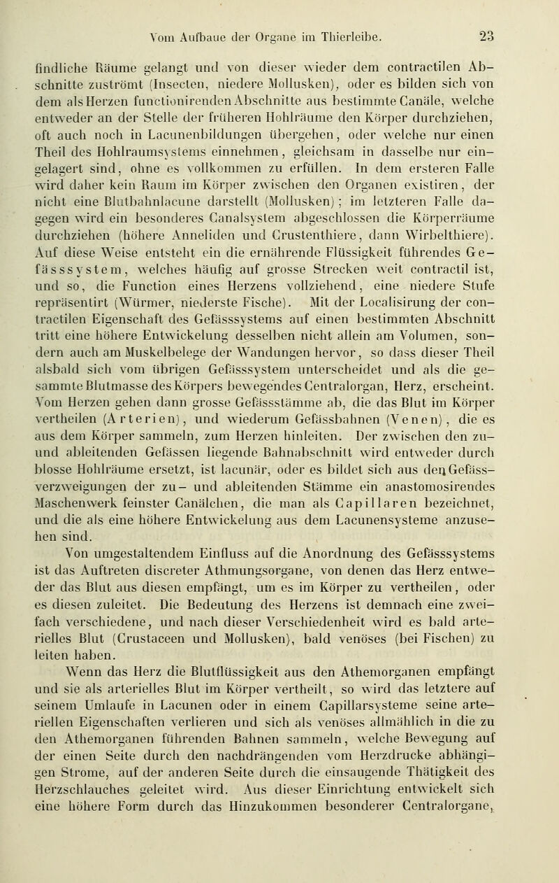 findliehe Räume gelangt und von dieser wieder dem contractilen Ab- schnitte zuströmt (Insecten, niedere Mollusken), oder es bilden sich von dem als Herzen functionirenden Abschnitte aus bestimmte Canäle, welche entweder an der Stelle der früheren Hohlräume den Körper durchziehen, oft auch noch in Lacunenbildungen übergehen, oder welche nur einen Theil des Hohlraumsystems einnehmen, gleichsam in dasselbe nur ein- gelagert sind, ohne es vollkommen zu erfüllen. In dem ersteren Falle wird daher kein Raum im Körper zwischen den Organen existiren, der nicht eine Rlutbahnlacune darstellt (Mollusken); im letzteren Falle da- gegen wird ein besonderes Canalsystem abgeschlossen die Körperräume durchziehen (höhere Anneliden und Grustenthiere, dann Wirbelthiere). Auf diese Weise entsteht ein die ernährende Flüssigkeit führendes Ge- fässsystem, welches häufig auf grosse Strecken weit contractu ist, und so, die Function eines Herzens vollziehend, eine niedere Stufe repräsentiert (Würmer, niederste Fische). Mit der Localisirung der con- tractilen Eigenschaft des Gefässsystems auf einen bestimmten Abschnitt tritt eine höhere Entwicklung desselben nicht allein am Volumen, son- dern auch am Muskelbelege der Wandungen hervor, so dass dieser Theil alsbald sich vom übrigen Gefässsystem unterscheidet und als die ge- sammteRlutmasse des Körpers bewegendes Centralorgan, Herz, erscheint. Vom Herzen gehen dann grosse Gefässstämme ab, die das Rlut im Körper vertheilen (Arterien), und wiederum Gefässbahnen (Venen), die es aus dem Körper sammeln, zum Herzen hinleiten. Der zwischen den zu- und ableitenden Gefässen liegende Rahnabschnitt wird entweder durch blosse Hohlräume ersetzt, ist lacunär, oder es bildet sich aus denGefäss- verzweigungen der zu- und ableitenden Stämme ein anastomosirendes Maschenwerk feinster Canälchen, die man als Capillaren bezeichnet, und die als eine höhere Entwickelung aus dem Lacunensysteme anzuse- hen sind. Von umgestaltendem Einfluss auf die Anordnung des Gefässsystems ist das Auftreten discreter Athmungsorgane, von denen das Herz entwe- der das Rlut aus diesen empfängt, um es im Körper zu vertheilen, oder es diesen zuleitet. Die Redeutung des Herzens ist demnach eine zwei- fach verschiedene, und nach dieser Verschiedenheit wird es bald arte- rielles Rlut (Crustaceen und Mollusken), bald venöses (bei Fischen) zu leiten haben. Wenn das Herz die Rlutflüssigkeit aus den Athemorganen empfängt und sie als arterielles Rlut im Körper vertheilt, so wird das letztere auf seinem Umlaufe in Lacunen oder in einem Capillarsysteme seine arte- riellen Eigenschaften verlieren und sich als venöses allmählich in die zu den Athemorganen führenden Rahnen sammeln, welche Rewegung auf der einen Seite durch den nachdrängenden vom Herzdrucke abhängi- gen Strome, auf der anderen Seite durch die einsaugende Thätigkeit des Herzschlauches geleitet wird. Aus dieser Einrichtung entwickelt sich eine höhere Form durch das Hinzukommen besonderer Centralorgane,