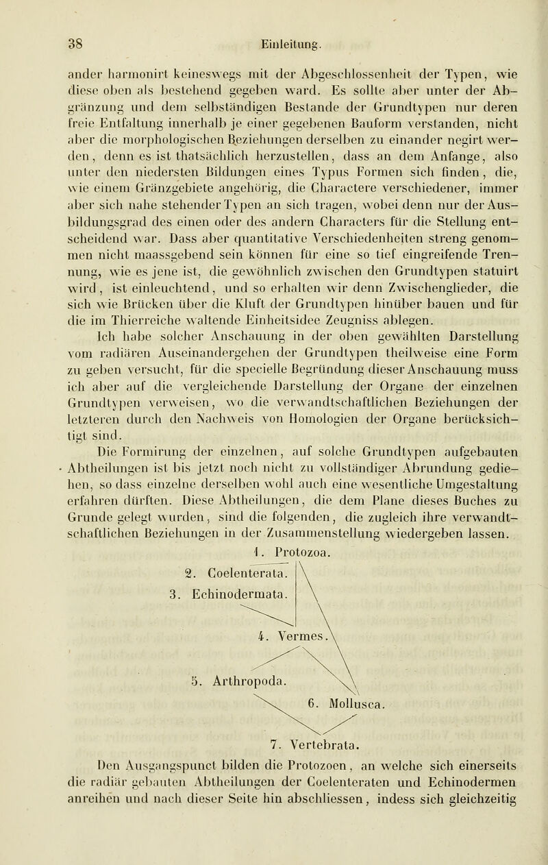ander harmonirt keineswegs mit der Abgeschlossenheit der Typen, wie diese oben als bestehend gegeben ward. Es sollte aber unter der Ab- gränzung und dem selbständigen Bestände der Grundtypen nur deren freie Entfaltung innerhalb je einer gegebenen Bauform verstanden, nicht aber die morphologischen Beziehungen derselben zu einander negirt wer- den , denn es ist thatsächlich herzustellen, dass an dem Anfange, also unter den niedersten Bildungen eines Typus Formen sich finden, die, wie einem Gränzgebiete angehörig, die Charactere verschiedener, immer aber sich nahe stehender Typen an sich tragen, wobei denn nur der Aus- bildungsgrad des einen oder des andern Characters für die Stellung ent- scheidend war. Dass aber quantitative Verschiedenheiten streng genom- men nicht maassgebend sein können für eine so tief eingreifende Tren- nung, wie es jene ist, die gewöhnlich zwischen den Grundtypen statuirt wird , ist einleuchtend, und so erhalten wir denn Zwischenglieder, die sich wie Brücken über die Kluft der Grundtypen hinüber bauen und für die im Thierreiche waltende Einheitsidee Zeugniss ablegen. Ich habe solcher Anschauung in der oben gewählten Darstellung vom radiären Auseinandergehen der Grundtypen theilweise eine Form zu geben versucht, für die specielle Begründung dieser Anschauung muss ich aber auf die vergleichende Darstellung der Organe der einzelnen Grundtypen verweisen, wo die verwandtschaftlichen Beziehungen der letzteren durch den Nachweis von Homologien der Organe berücksich- tigt sind. Die Formirung der einzelnen, auf solche Grundtypen aufgebauten Abtheilungen ist bis jetzt noch nicht zu vollständiger Abrundung gedie- hen, sodass einzelne derselben wohl auch eine wesentliche Umgestaltung erfahren dürften. Diese Abtheilungen, die dem Plane dieses Buches zu Grunde gelegt wurden, sind die folgenden, die zugleich ihre verwandt- schaftlichen Beziehungen in der Zusammenstellung wiedergeben lassen. I. Protozoa. 2. Coelenterata. 3. Echinodermata. 5. Arthropoda. Mollusca. 7. Vertebrata. Den Ausgangspunkt bilden die Protozoen, an welche sich einerseits die radiär gebauten Abtheilungen der Coelenteraten und Echinodermen anreihen und nach dieser Seite hin abschliessen, indess sich gleichzeitig
