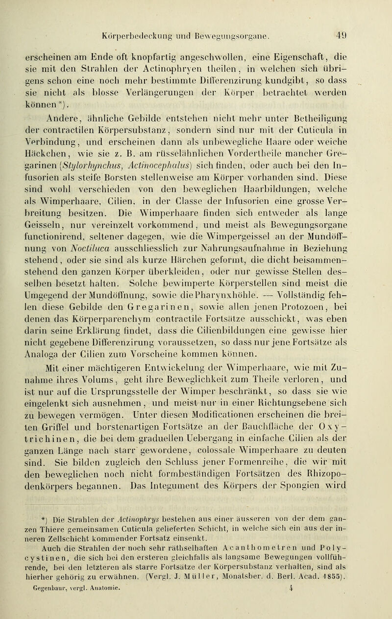 erscheinen am Ende oft knopfartig angeschwollen, eine Eigenschaft, die sie mit den Strahlen der Actinaphryen theilen, in welchen sich übri- gens schon eine noch mehr bestimmte Differenzirung kundgibt, so dass sie nicht als blosse Verlängerungen der Körper betrachtet werden können*). Andere, ähnliche Gebilde entstehen nicht mehr unter Betheiligung der contractilen Körpersubstanz, sondern sind nur mit der Cuticula in Verbindung, und erscheinen dann als unbewegliche Haare oder weiche Häckchen, wie sie z. B. am rüsselähnlichen Vordertheile mancher Gre- garinen [Stylorhynchus, Actinocephalus) sich finden, oder auch bei den In- fusorien als steife Borsten stellenweise am Körper vorhanden sind. Diese sind wohl verschieden von den beweglichen Haarbildungen, welche als Wimperhaare. Gilien. in der Classe der Infusorien eine grosse Ver- breitung besitzen. Die Wimperhaare finden sich entweder als lange Geissein, nur vereinzelt vorkommend, und meist als Bewegungsorgane functionirend, seltener dagegen, wie die Wimpergeissel an der Mundöff- nung von Noctilaca ausschliesslich zur Nahrungsaufnahme in Beziehung stehend, oder sie sind als kurze Härchen geformt, die dicht beisammen- stehend den ganzen Körper überkleiden, oder nur gewisse Steilen des- selben besetzt halten. Solche bewimperte Körperstellen sind meist die Umgegend der Mundöffnung, sowie diePharynxhöhle. — Vollständig feh- len diese Gebilde den Gregarinen, sowie allen jenen Protozoen, bei denen das Körperparenchym contractile Fortsätze ausschickt, was eben darin seine Erklärung findet, dass die Cilienbildungen eine gewisse hier nicht gegebene Differenzirung voraussetzen, so dass nur jene Fortsätze als Analoga der Gilien zum Vorscheine kommen können. Mit einer mächtigeren Entwickelung der Wimperhaare, wie mit Zu- nahme ihres Volums, geht ihre Beweglichkeit zum Theile verloren, und ist nur auf die Ursprungsstelle der Wimper beschränkt, so dass sie wie eingelenkt sich ausnehmen, und meist nur in einer Bichtungsebene sich zu bewegen vermögen. Unter diesen Modificationen erscheinen die brei- ten Griffel und borstenartigen Fortsätze an der Bauchfläche der Oxy- t rieh inen, die bei dem graduellen Uebergang in einfache Cilien als der ganzen Länge nach starrge wordene, colossale Wimperhaare zu deuten sind. Sie bilden zugleich den Schluss jener Formenreihe, die wir mit den beweglichen noch nicht formbeständigen Fortsätzen des Bhizopo- denkörpers begannen. Das Integument des Körpers der Spongien wird *) Die Strahlen der Actinophrys bestehen aus einer äusseren von der dem gan- zen Thiere gemeinsamen Cuticula gelieferten Schicht, in welche sich ein aus der in- neren Zellschicht kommender Fortsatz einsenkt. Auch die Strahlen der noch sehr räthselhaften Acanthometren und Poly- cystinen, die sich bei den ersteren gleichfalls als langsame Bewegungen vollfüh- rende, bei den letzteren als starre Fortsätze der Körpersubstanz verhalten, sind als hierher gehörig zu erwähnen. (Vergl. J. Müller, Monatsber. d. Berl. Acad. 4 855). Gegenbaur, vergl. Anatomie. 4