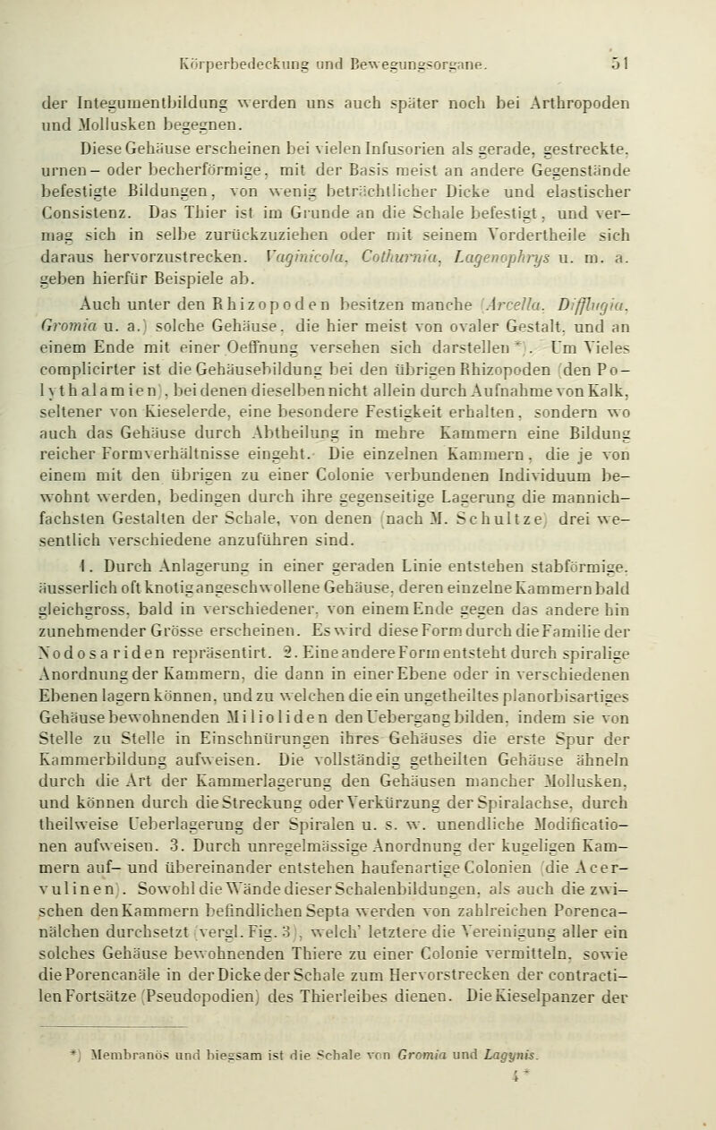 der Integuinentbildung werden uns auch später noch bei Arthropoden und Mollusken begegnen. Diese Gehäuse erseheinen bei vielen Infusorien als gerade, gestreckte, urnen- oder becherförmige, mit der Basis meist an andere Gegenstände befestigte Bildungen, von wenig beträchtlicher Dicke und elastischer Consistenz. Das Thier ist im Grunde an die Schale befestigt, und ver- mag sich in selbe zurückzuziehen oder mit seinem Yordertheile sich daraus hervorzustrecken. Vaginicola, Cothumia, Lagenophrys u. m. a. geben hierfür Beispiele ab. Auch unter den Bhizopoden besitzen manche Arcella. Difflugia. Gromia u. a.) solche Gehäuse, die hier meist von ovaler Gestalt, und an einem Ende mit einer Oeffnung versehen sich darstellen * . Um Vieles complicirter ist die Gehäusebildung bei den übrigen Bhizopoden denPo- 1 y t h al a m i e n . bei denen dieselben nicht allein durch Aufnahme von Kalk, seltener von Kieselerde, eine besondere Festigkeit erhalten, sondern wo auch das Gehäuse durch Abtheilung in mehre Kammern eine Bildung reicher Formverhältnisse eingeht. Die einzelnen Kammern . die je von einem mit den übrigen zu einer Colonie verbundenen Individuum be- wohnt werden, bedingen durch ihre gegenseitige Lagerung die mannich- fachsten Gestalten der Schale, von denen nach M. Schultze, drei we- sentlich verschiedene anzuführen sind. 1. Durch Anlagerung in einer geraden Linie entstehen stabförmige. äusserlich oft knotigangeschwollene Gehäuse, deren einzelne Kammern bald gleichgross. bald in verschiedener, von einem Ende gegen das andere hin zunehmender Grösse erscheinen. Es wird diese Form durch die Familie der Xodos ariden repräsentirt. 2. Eine andere Form entsteht durch spiralige Anordnung der Kammern, die dann in einer Ebene oder in verschiedenen Ebenen lagern können, und zu welchen die ein ungetheiltes planorbisartiges Gehäuse bewohnenden Milioliden den Uebersaug bilden, indem sie von Stelle zu Stelle in Einschnürungen ihres Gehäuses die erste Spur der Kammerbildung aufweisen. Die vollständig getheilten Gehäuse ähneln durch die Art der Kammerlagerung den Gehäusen mancher Mollusken, und können durch die Streckung oder Verkürzung der Spiralachse, durch theilweise Ueberlagerung der Spiralen u. s. w. unendliche Modifikatio- nen aufweiseu. 3. Durch unregelmässige Anordnung der kugeligen Kam- mern auf- und übereinander entstehen haufenartige Colonien die Acer- vulinen . Sowohl die Wände dieser Schalenbildungen, als auch die zwi- schen den Kammern befindlichen Septa werden von zahlreichen Porenca- nälchen durchsetzt ■ vergl.Fig. 3 . welch' letzlere die Vereinigung aller ein solches Gehäuse bewohnenden Thiere zu einer Colonie vermitteln, sowie diePorencanäle in der Dicke der Schale zum Hervorstrecken der contracti- len Fortsätze'Pseudopodien; des Thierleibes dienen. Die Kieselpanzer der Membranös und biegsam ist die Sehale von Gromia und Lagynis. i*