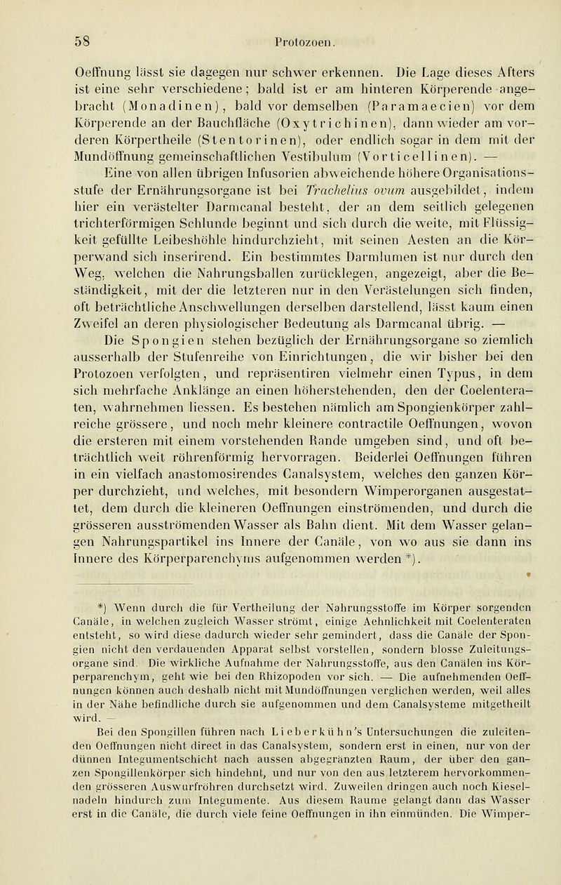 Oeffnung lässt sie dagegen nur schwer erkennen. Die Lage dieses Afters ist eine sehr verschiedene; bald ist er am hinteren Körperende ange- bracht (Monadinen), bald vor demselben (Paramaecien) vordem Körperende an der Bauchfla'che (Oxyt richinen), dann wieder am vor- deren Körpertheile (Stento r inen), oder endlich sogar in dem mit der Mundöffnung gemeinschaftlichen Vestibulum (Vorticellinen). — Eine von allen übrigen Infusorien abweichende höhere Organisations- stufe der Ernährungsorgane ist bei Trachelius ovum ausgebildet, indem hier ein verästelter Darmcanal besteht, der an dem seitlich gelegenen trichterförmigen Schlünde beginnt und sich durch die weite, mit Flüssig- keit gefüllte Leibeshöhle hindurchzieht, mit seinen Aesten an die Kör- perwand sich inserirend. Ein bestimmtes Darmlumen ist nur durch den Weg. welchen die Nahrungsballen zurücklegen, angezeigt, aber die Be- ständigkeit, mit der die letzteren nur in den Verästelungen sich finden, oft beträchtliche Anschwellungen derselben darstellend, lässt kaum einen Zweifel an deren physiologischer Bedeutung als Darmcanal übrig. — Die Spongien stehen bezüglich der Ernährungsorgane so ziemlich ausserhalb der Stufenreihe von Einrichtungen, die wir bisher bei den Protozoen verfolgten, und repräsentiren vielmehr einen Typus, indem sich mehrfache Anklänge an einen höherstehenden, den der Coelentera- ten, wahrnehmen Hessen. Es bestehen nämlich am Spongienkörper zahl- reiche grössere, und noch mehr kleinere contractile Oeffnungen, wovon die ersteren mit einem vorstehenden Bande umgeben sind, und oft be- trächtlich weit röhrenförmig hervorragen. Beiderlei Oeffnungen führen in ein vielfach anastomosirendes Canalsystem, welches den ganzen Kör- per durchzieht, und welches, mit besondern Wimperorganen ausgestat- tet, dem durch die kleineren Oeffnungen einströmenden, und durch die grösseren ausströmenden Wasser als Bahn dient. Mit dem Wasser gelan- gen Nahrungspartikel ins Innere der Ganäle, von wo aus sie dann ins Innere des Körperparenchyms aufgenommen werden*). *) Wenn durch die für Vertheilung der Nahrungsstoffe im Körper sorgenden Canäle, in welchen zugleich Wasser strömt, einige Aehnlichkeit mit Coelenteraten entsteht, so wird diese dadurch wieder sehr gemindert, dass die Canäle der Spon- gien nicht den verdauenden Apparat selbst vorstellen, sondern blosse Zuleitungs- organe sind. Die wirkliche Aufnahme der Nahrungsstoffe, aus den Canälen ins Kör- perparenehym, geht wie bei den Rhizopoden vorsieh. — Die aufnehmenden Oeff- nungen können auch deshalb nicht mit Mundöffnungen verglichen werden, weil alles in der Nähe befindliche durch sie aufgenommen und dem Canalsysteme mitgetheilt wird. — Bei den Spongillen führen nach Lieberkühn's Untersuchungen die zuleiten- den Oeffnungen nicht direct in das Canalsystem, sondern erst in einen, nur von der dünnen Integumentschicht nach aussen abgegränzten Raum, der über den gan- zen Spongillenkörper sich hindehnt, und nur von den aus letzterem hervorkommen- den grösseren Auswurfröhren durchsetzt wird. Zuweilen dringen auch noch Kiesel- nadeln hindurch zum Integumente. Aus diesem Räume gelangt dann das Wasser erst in die Canäle, die durch viele feine Oeffnungen in ihn einmünden. Die Wimper-