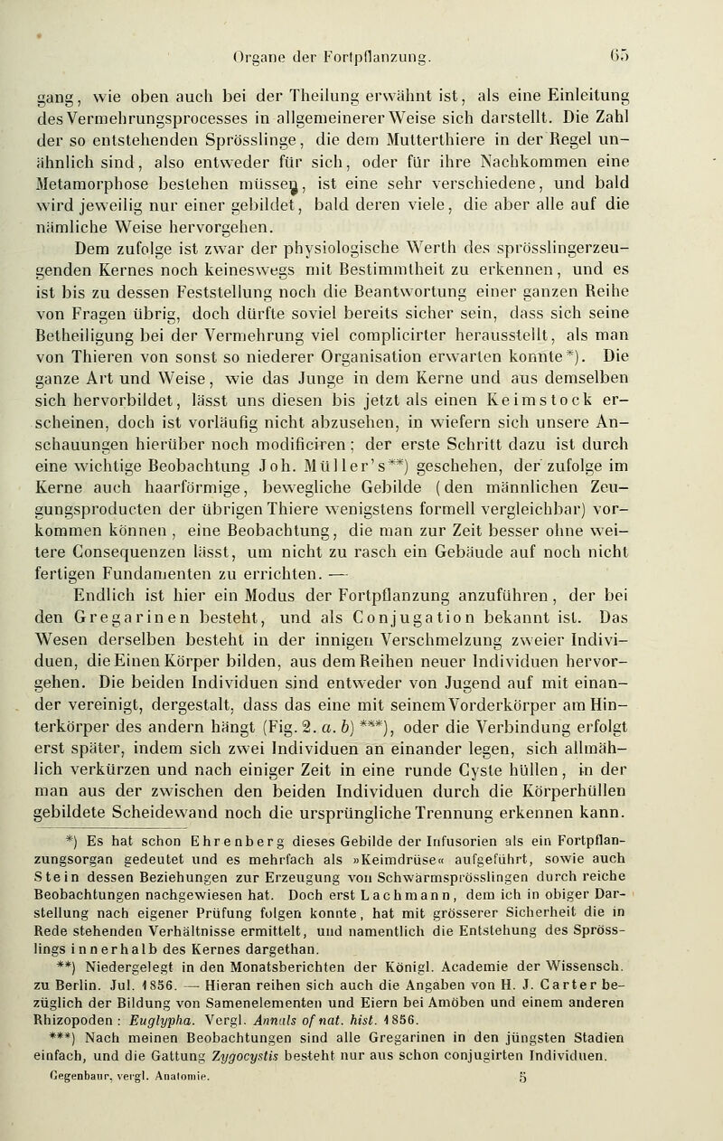 gang, wie oben auch bei der Theilung erwähnt ist, als eine Einleitung desVermehrungsprocesses in allgemeinerer Weise sich darstellt. Die Zahl der so entstehenden Sprösslinge, die dem Mutterthiere in der Regel un- ähnlich sind, also entweder für sich, oder für ihre Nachkommen eine Metamorphose bestehen müssen,, ist eine sehr verschiedene, und bald wird jeweilig nur einer gebildet, bald deren viele, die aber alle auf die nämliche Weise hervorgehen. Dem zufolge ist zwar der physiologische Werth des sprösslingerzeu- genden Kernes noch keineswegs mit Bestimmtheit zu erkennen, und es ist bis zu dessen Feststellung noch die Beantwortung einer ganzen Reihe von Fräsen übrig, doch dürfte soviel bereits sicher sein, dass sich seine Betheiligung bei der Vermehrung viel complicirter herausstellt, als man von Thieren von sonst so niederer Organisation erwarten konnte*). Die ganze Art und Weise, wie das Junge in dem Kerne und aus demselben sich hervorbildet, lässt uns diesen bis jetzt als einen Keimstock er- scheinen, doch ist vorläufig nicht abzusehen, in wiefern sich unsere An- schauungen hierüber noch modificiren ; der erste Schritt dazu ist durch eine wichtige Beobachtung Joh. Müller's**) geschehen, der zufolge im Kerne auch haarförmige, bewegliche Gebilde (den männlichen Zeu- gungsproducten der übrigen Thiere wenigstens formell vergleichbar) vor- kommen können , eine Beobachtung, die man zur Zeit besser ohne wei- tere Consequenzen lässt, um nicht zu rasch ein Gebäude auf noch nicht fertigen Fundamenten zu errichten. — Endlich ist hier ein Modus der Fortpflanzung anzuführen, der bei den Gregarinen besteht, und als Conjugation bekannt ist. Das Wesen derselben besteht in der innigen Verschmelzung zweier Indivi- duen, die Einen Körper bilden, aus demBeihen neuer Individuen hervor- gehen. Die beiden Individuen sind entweder von Jugend auf mit einan- der vereinigt, dergestalt, dass das eine mit seinem Vorderkörper am Hin- terkörper des andern hängt (Fig. 2. a. b) ***), oder die Verbindung erfolgt erst später, indem sich zwei Individuen an einander legen, sich allmäh- lich verkürzen und nach einiger Zeit in eine runde Cyste hüllen, in der man aus der zwischen den beiden Individuen durch die Körperhüllen gebildete Scheidewand noch die ursprüngliche Trennung erkennen kann. *) Es hat schon Ehrenberg dieses Gebilde der Infusorien als ein Fortpflan- zungsorgan gedeutet und es mehrfach als »Keimdrüse« aufgeführt, sowie auch Stein dessen Beziehungen zur Erzeugung von Schwärmsprösslingen durchreiche Beobachtungen nachgewiesen hat. Doch erst Lach mann, dem ich in obiger Dar- stellung nach eigener Prüfung folgen konnte, hat mit grösserer Sicherheit die in Rede stehenden Verhältnisse ermittelt, und namentlich die Entstehung des Spröss- lings innerhalb des Kernes dargethan. **) Niedergelegt in den Monatsberichten der Königl. Academie der Wissenseh. zu Berlin. Jul. 1856. — Hieran reihen sich auch die Angaben von H. J. Carter be- züglich der Bildung von Samenelementen und Eiern bei Amöben und einem anderen Rhizopoden : Euglypha. Vergl. Annais ofnat. hisl. 1856. ***) Nach meinen Beobachtungen sind alle Gregarinen in den jüngsten Stadien einfach, und die Gattung Zygocystis besteht nur aus schon conjugirten Individuen. Gegenbaur, vergl. Anatomie. 5