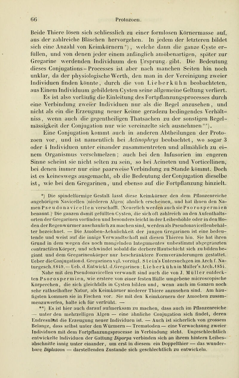 Beide Thiere lösen sich schliesslich zu einer formlosen Körnermasse auf, aus der zahlreiche Bläschen hervorgehen. In jedem der letzteren bildet sich eine Anzahl von Keimkörnern*) , welche dann die ganze Cyste er- füllen, und von denen jeder einem anfänglich amöbenartigen, später zur Gregarine werdenden Individuum den Ursprung gibt. Die Bedeutung dieses Conjugations-Processes ist aber nach manchen Seiten hin noch unklar, da der physiologische Werth, den man in der Vereinigung zweier Individuen finden könnte, durch die von Lieberkühn beobachteten, aus Einem Individuum gebildeten Cysten seine allgemeine Geltung verliert. Es ist also vorläufig die Einleitung des Fortpflanzungsprocesses durch eine Verbindung zweier Individuen nur als die Regel anzusehen , und nicht als ein die Erzeugung neuer Keime geradezu bedingendes Verheil t- niss, wenn auch die gegenteiligen Thatsachen zu der sonstigen Regel- mässigkeit der Conjugation nur wie vereinzelte sich ausnehmen**). Eine Conjugation kommt auch in anderen Abtheilungen der Proto- zoen vor. und ist namentlich bei Actinophrys beobachtet, wo sogar 3 oder 4 Individuen unter einander zusammentreten und allmählich zu ei- nem Organismus verschmelzen; auch bei den Infusorien im engeren Sinne scheint sie nicht selten zu sein, so bei Acineten und Vorticellinen, bei denen immer nur eine paarweise Verbindung zu Stande kömmt. Doch ist es keineswegs ausgemacht, ob die Bedeutung der Conjugation dieselbe ist, wie bei den Gregarinen, und ebenso auf die Fortpflanzung hinzielt. *) Die spindelförmige Gestalt lässt diese Keimkörner den dem Pflanzenreiche angehörigen Navicellen (niederen Algen) ähnlich erscheinen, und hat ihnen den Na- men Pseudonavicellen verschafft. (Neuerlich werden auch siePsorospermien benannt.)1 Die ganzen damit gefüllten Cysten, die sich oft zahlreich an den Aufenthalts- orten der Gregarinen vorfinden und besonders leicht in der Leibeshöhle oder in den Ho- den der Regen würmer anschaulich zu machen sind, werden als Pseudonavicellenbehäl- ter bezeichnet. — Die Amöben-Aehnlichkeit der jungen Gregarinen ist eine bedeu- tende und weist auf die innige Verwandtschaft mit diesen Thieren hin. Sie hat ihren Grund in dem wegen des noch mangelnden Integumentes unbestimmt abgegränzten contractilen Körper, und schwindet sobald die derbere Hautschicht sich zu bilden be- ginnt und dem Gregarinenkörper nur beschränktere Formveränderungen gestattet, lieber die Conjugation d. Gregarinen vgl. vorzügl. S t e i n's Untersuchgen im Arch f. Na- turgesch.1849.—Ueb. d.Entwickl. d. Gregarinen : Lieb erkühn in Müller's Arch. \ 854. Nahe mit den Pseudonavicellen verwandt sind auch die von J. Müller entdeck- ten Psorospermien, wie erstere von einer festen Hülle umgebene microscopische Körperchen, die sich gleichfalls in Cysten bilden und, wenn auch im Ganzen noch sehr räthselhafter Natur, als Keimkörner niederer Thiere anzusehen sind. Am häu- figsten kommen sie in Fischen vor. Sie mit den Keimkörnern der Amoeben zusam- menzuwerfen, halte ich für verfrüht. — **) Es ist hier auch darauf aufmerksam zu machen, dass auch im Pflanzenreiche — unter den mehrzelligen Algen — eine ähnliche Conjugation sich findet, deren Endresultat die Erzeugung neuer Individuen ist. — Auch ist sicherlich von grossem Belange, dass selbst unter den Würmern — Trematoden— eine Verwachsung zweier Individuen mit dem Fortpflanzungsprocesse in Verbindung steht. Ungeschlechtlich entwickelte Individuen der Gattung Diporpa verbinden sich an ihrem hintern Leibes- abschnitte innig unter einander, um erst in diesem ein Doppelthier — das wunder- bare Diplozoon — darstellenden Zustande sich geschlechtlich zu entwickeln.