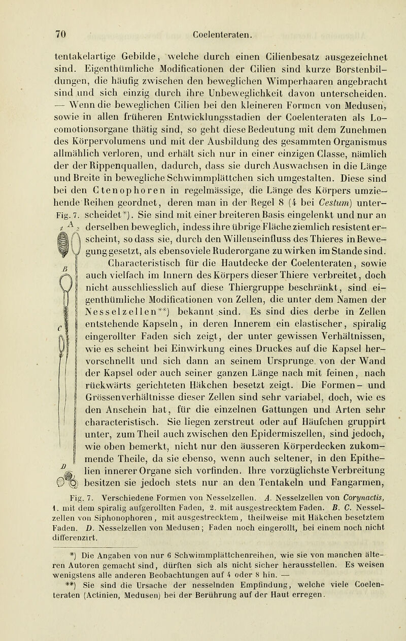 tentakelartige Gebilde, welche durch einen Cilienbesatz ausgezeichnet sind. Eigenthümliche Modificationen der Cilien sind kurze Borstenbil- dungen, die häufig zwischen den beweglichen Wimperhaaren angebracht sind und sich einzig durch ihre Unbeweglichkeit davon unterscheiden. — Wenn die beweglichen Cilien bei den kleineren Formen von Medusen, sowie in allen früheren Entwicklungsstadien der Coelenteraten als Lo- comotionsorgane thätig sind, so geht diese Bedeutung mit dem Zunehmen des Körpervolumens und mit der Ausbildung des gesammten Organismus allmählich verloren, und erhält sich nur in einer einzigen Classe, nämlich der der Bippenquallen, dadurch, dass sie durch Auswachsen in die Länge und Breite in bewegliche Schwimmplättchen sich umgestalten. Diese sind bei den Ctenophören in regelmässige, die Länge des Körpers umzie— hende Beihen geordnet, deren man in der Begel 8 (4 bei Cestum) unler- Fig. 7. scheidet*). Sie sind mit einer breiteren Basis eingelenkt und nur an z A z derselben beweglich, indess ihre übrige Fläche ziemlich resistent er- §Hlf| scheint, sodass sie, durch den Willenseinfluss des Thieres in Bewe- gung gesetzt, als ebenso viele Buderorgane zu wirken im Stande sind. Characteristisch für die Hautdecke der Coelenteraten, sowie auch vielfach im Innern des Körpers dieser Thiere verbreitet, doch nicht ausschliesslich auf diese Thiergruppe beschränkt, sind ei- genthümliche Modificationen von Zellen, die unter dem Namen der Nesselzellen**) bekannt sind. Es sind dies derbe in Zellen entstehende Kapseln, in deren Innerem ein elastischer, spiralig eingerollter Faden sich zeigt, der unter gewissen Verhältnissen, wie es scheint bei Einwirkung eines Druckes auf die Kapsel her- vorschnellt und sich dann an seinem Ursprünge von der Wand der Kapsel oder auch seiner ganzen Länge nach mit feinen, nach rückwärts gerichteten Häkchen besetzt zeigt. Die Formen- und Grössenverhältnisse dieser Zellen sind sehr variabel, doch, wie es den Anschein hat, für die einzelnen Gattungen und Arten sehr characteristisch. Sie liegen zerstreut oder auf Häufchen gruppirt unter, zum Theil auch zwischen den Epidermiszellen, sind jedoch, wie oben bemerkt, nicht nur den äusseren Körperdecken zukom- | mende Theile, da sie ebenso, wenn auch seltener, in den Epithe- D^ lien innerer Organe sich vorfinden. Ihre vorzüglichste Verbreitung ®~Q) besitzen sie jedoch stets nur an den Tentakeln und Fangarmen, Fig. 7. Verschiedene Formen von Nesselzellen. A. Nesselzellen von Corynactis, i. mit dem spiralig aufgerollten Faden, 2. mit ausgestrecktem Faden. B. C. Nessel- zellen von Siphonophoren , mit ausgestrecktem, theilweise mit Häkchen besetztem Faden. D. Nesselzellen von Medusen ; Faden noch eingerollt, bei einem noch nicht differenzirt. *) Die Angaben von nur 6 Schwimmplättchenreihen, wie sie von manchen älte- ren Autoren gemacht sind, dürften sich als nicht sicher herausstellen. Es weisen wenigstens alle anderen Beobachtungen auf 4 oder 8 hin. — **) Sie sind die Ursache der nesselnden Empfindung, welche viele Coelen- teraten (Actinien, Medusen) bei der Berührung auf der Haut erregen.