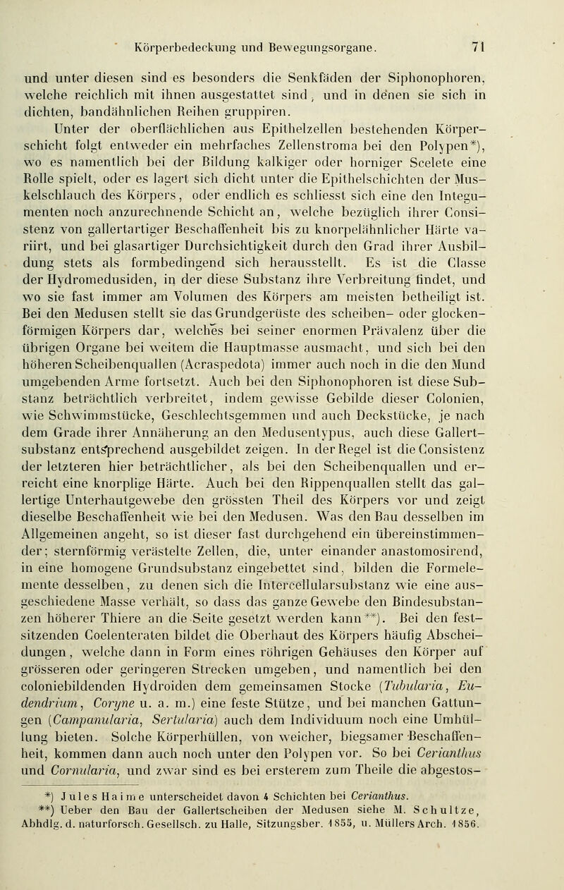 und unter diesen sind es besonders die Senkfäden der Siphonophoren, welche reichlich mit ihnen ausgestattet sind , und in denen sie sich in dichten, bandähnlichen Reihen grappiren. Unter der oberflächlichen aus Epithelzellen bestehenden Körper- schicht folgt entweder ein mehrfaches Zellenstroma bei den Polypen*), wo es namentlich bei der Bildung kalkiger oder horniger Scelete eine Rolle spielt, oder es lagert sich dicht unter die Epithelschichten der Mus- kelschlauch des Körpers, oder endlich es schliesst sich eine den Integu- menten noch anzurechnende Schicht an, welche bezüglich ihrer Consi- stenz von gallertartiger Beschaffenheit bis zu knorpelähnlicher Härte va- riirt, und bei glasartiger Durchsichtigkeit durch den Grad ihrer Ausbil- dung stets als formbedingend sich herausstellt. Es ist die Classe der Hydromedusiden, in der diese Substanz ihre Verbreitung findet, und wo sie fast immer am Volumen des Körpers am meisten betheiligt ist. Bei den Medusen stellt sie das Grundgerüste des Scheiben- oder glocken- förmigen Körpers dar, welches bei seiner enormen Prävalenz über die übrigen Organe bei weitem die Hauptmasse ausmacht, und sich bei den höheren Scheibenquallen (Acraspedota) immer auch noch in die den Mund umgebenden Arme fortsetzt. Auch bei den Siphonophoren ist diese Sub- stanz beträchtlich verbreitet, indem gewisse Gebilde dieser Colonien, wie Schwimmstücke, Geschlechtsgemmen und auch Deckstücke, je nach dem Grade ihrer Annäherung an den Medusenlypus, auch diese Gallert- substanz entsprechend ausgebildet zeigen. In der Regel ist dieGonsistenz der letzteren hier beträchtlicher, als bei den Scheibenquallen und er- reicht eine knorplige Härte. Auch bei den Rippenquallen stellt das gal- lertige Unterhautgewebe den grössten Theil des Körpers vor und zeigt dieselbe Reschaffenheit wie bei den Medusen. Was den Rau desselben im Allgemeinen angeht, so ist dieser fast durchgehend ein übereinstimmen- der; sternförmig verästelte Zellen, die, unter einander anastomosirend, in eine homogene Grundsubstanz eingebettet sind, bilden die Formele- mente desselben, zu denen sich die Intercellularsubstanz wie eine aus- geschiedene Masse verhält, so dass das ganze Gewebe den Rindesubstan- zen höherer Thiere an die Seite gesetzt werden kann**). Rei den fest- sitzenden Coelenteraten bildet die Oberhaut des Körpers häufig Abschei- dungen , welche dann in Form eines röhrigen Gehäuses den Körper auf grösseren oder geringeren Strecken umgeben, und namentlich bei den coloniebildenden Hydroiden dem gemeinsamen Stocke (Tubiäaria, Ea- dendriitm, Coryne u. a. m.) eine feste Stütze, und bei manchen Gattun- gen {Campanularia, Sertularia) auch dem Individuum noch eine Umhül- lung bieten. Solche Körperhüllen, von weicher, biegsamer Reschaffen- heit, kommen dann auch noch unter den Polypen vor. So bei Cerianthus und Cornularia, und zwar sind es bei ersterem zum Theile die abgestos- *) Jules Haime unterscheidet davon 4 Schichten bei Cerianthus. **) lieber den Bau der Gallertscheiben der Medusen siehe M. Schultze, Abhdlg.d. naturforsch. Gesellsch. zu Halle, Sitzungsber. 1855, u. Müllers Arch. 1856.