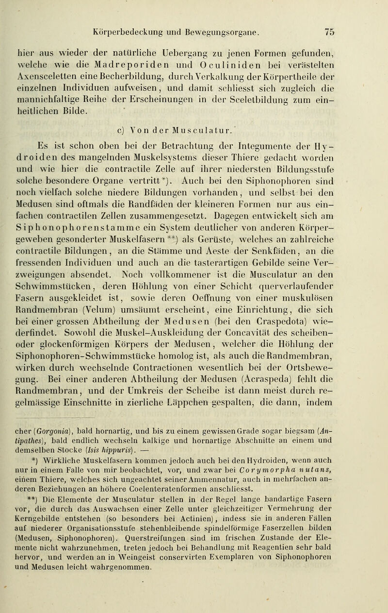 hier aus wieder der natürliche Uebergang zu jenen Formen gefunden, welche wie dieMadreporiden und Oculiniden bei verästelten Axensceletten eine Becherbildung, durch Verkalkung der Körpertheile der einzelnen Individuen aufweisen, und damit schliesst sich zugleich die mannichfaltige Reihe der Erscheinungen in der Sceletbildung zum ein- heitlichen Bilde. c) Von d er Musculatur.' Es ist schon oben bei der Betrachtung der Integumente der Hy- droiden des mangelnden Muskelsystems dieser Thiere gedacht worden und wie hier die contractile Zelle auf ihrer niedersten Bildungsstufe solche besondere Organe vertritt*). Auch bei den Siphonophoren sind noch vielfach solche niedere Bildungen vorhanden, und selbst bei den Medusen sind oftmals die Bandfäden der kleineren Formen nur aus ein- fachen contractilen Zellen zusammengesetzt. Dagegen entwickelt sich am Siphonophoren stamme ein System deutlicher von anderen Körper- geweben gesonderter Muskelfasern**) als Gerüste, welches an zahlreiche contractile Bildungen, an die Stämme und Aeste der Senkfäden, an die fressenden Individuen und auch an die tasterartigen Gebilde seine Ver- zweigungen absendet. Noch vollkommener ist die Musculatur an den Schwimmstücken, deren Höhlung von einer Schicht querverlaufender Fasern ausgekleidet ist, sowie deren Oeffnung von einer muskulösen Bandmembran (Velum) umsäumt erscheint, eine Einrichtung, die sich bei einer grossen Abtheilung der Medusen (bei den Craspedota) wie- derfindet. Sowohl die Muskel-Auskleidung der Concavität des scheiben- oder glockenförmigen Körpers der Medusen, welcher die Höhlung der Siphonophoren-Schwimmstücke homolog ist, als auch die Bandmembran, wirken durch wechselnde Contractionen wesentlich bei der Ortsbewe- gung. Bei einer anderen Abtheilung der Medusen (Acraspeda) fehlt die Bandmembran, und der Umkreis der Scheibe ist dann meist durch re- gelmässige Einschnitte in zierliche Läppchen gespalten, die dann, indem eher (Gorgonia), bald hornartig, und bis zu einem gewissen Grade sogar biegsam (An- tipathes), bald endlich wechseln kalkige und hornartige Abschnitte an einem und demselben Stocke (Isis hippuris). — *) Wirkliche Muskelfasern kommen jedoch auch bei denHydroiden, wenn auch nur in einem Falle von mir beobachtet, vor, und zwar bei Corymorpha nutans, einem Thiere, welches sich ungeachtet seiner Ammennatur, auch in mehrfachen an- deren Beziehungen an höhere Coelenteratenformen anschliesst. **) Die Elemente der Musculatur stellen in der Regel lange bandartige Fasern vor, die durch das Auswachsen einer Zelle unter gleichzeitiger Vermehrung der Kerngebilde entstehen (so besonders bei Actinien), indess sie in anderen Fällen auf niederer Organisationsstufe stehenbleibende spindelförmige Faserzellen bilden (Medusen, Siphonophoren). Querstreifungen sind im frischen Zustande der Ele- mente nicht wahrzunehmen, treten jedoch bei Behandlung mit Reagentien sehr bald hervor, und werden an in Weingeist conservirten Exemplaren von Siphonophoren und Medusen leicht wahrgenommen.