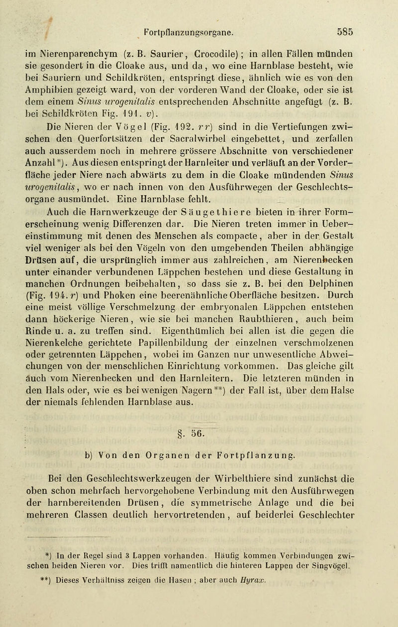 im Nierenparenchym (z. B. Saurier, Grocodile); in allen Fällen münden sie gesondert in die Gloake aus, und da, wo eine Harnblase besteht, wie bei Sauriern und Schildkröten, entspringt diese, ähnlich wie es von den Amphibien gezeigt ward, von der vorderen Wand der Gloake, oder sie ist dem einem Sinus urogenüalis entsprechenden Abschnitte angefügt (z. B. bei Schildkröten Fig. 191. v). Die Nieren der Vögel (Fig. 192. rr) sind in die Vertiefungen zwi- schen den Querfortsätzen der Sacralwirbel eingebettet, und zerfallen auch ausserdem noch in mehrere grössere Abschnitte von verschiedener Anzahl*). Aus diesen entspringt der Harnleiter und verläuft ander Vorder- fläche jeder Niere nach abwärts zu dem in die Gloake mündenden Sinus urogenüalis, wo er nach innen von den Ausführwegen der Geschlechts- organe ausmündet. Eine Harnblase fehlt. Auch die Harn Werkzeuge der Säugethiere bieten in ihrer Form- erscheinung wenig Differenzen dar. Die Nieren treten immer in Ueber- einstimmung mit denen des Menschen als compacte, aber in der Gestalt viel weniger als bei den Vögeln von den umgebenden Theilen abhängige Drüsen auf, die ursprünglich immer aus zahlreichen, am Nierenbecken unter einander verbundenen Läppchen bestehen und diese Gestaltung in manchen Ordnungen beibehalten, so dass sie z. B. bei den Delphinen (Fig. 194.r) und Phoken eine beerenähnliche Oberfläche besitzen. Durch eine meist völlige Verschmelzung der embryonalen Läppchen entstehen dann höckerige Nieren, wie sie bei manchen Raubthieren, auch beim Rinde u. a. zu treffen sind. Eigenthümlich bei allen ist die gegen die Nierenkelche gerichtete Papillenbildung der einzelnen verschmolzenen oder getrennten Läppchen, wobei im Ganzen nur unwesentliche Abwei- chungen von der menschlichen Einrichtung vorkommen. Das gleiche gilt auch vom Nierenbecken und den Harnleitern. Die letzteren münden in den Hals oder, wie es bei wenigen Nagern**) der Fall ist, über dem Halse der niemals fehlenden Harnblase aus. §• 56. b) Von den Organen der Fortpflanzung. Bei den Geschlechtswerkzeugen der Wirbelthiere sind zunächst die oben schon mehrfach hervorgehobene Verbindung mit den Ausführwegen der harnbereitenden Drüsen, die symmetrische Anlage und die bei mehreren Glassen deutlich hervortretenden , auf beiderlei Geschlechter *) In der Regel sind 3 Lappen vorhanden. Häufig kommen Verbindungen zwi- schen beiden Nieren vor. Dies trifft namentlich die hinteren Lappen der Singvögel. **) Dieses Verhältniss zeigen die Hasen ; aber auch Hyrax.