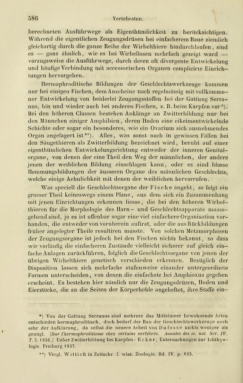berechneten Ausführwege als Eigenthümlichkeit zu berücksichtigen. Während die eigentlichen Zeugungsdrüsen bei einfacherem Baue ziemlich gleichartig durch die ganze Reihe der Wirbelthiere hindurchlaufen , sind es — ganz ähnlich, wie es bei Wirbellosen mehrfach gezeigt ward — vorzugsweise die Ausführwege, durch deren oft divergente Entwickelung und häufige Verbindung mit accessorischen Organen complicirte Einrich- tungen hervorgehen. Hermaphroditische Bildungen der Geschlechtswerkzeuge kommen nur bei einigen Fischen, dem Anscheine nach regelmässig mit vollkomme- ner Entwickelung von beiderlei Zeugungsstoffen bei der Gattung Serra- nus, hin und wieder auch hei anderen Fischen, z. B. beim Karpfen vor*). Bei den höheren Classen bestehen Anklänge an Zwitterbildung nur bei den Männchen einiger Amphibien, deren Hoden eine eikeimentwickelnde Schichte oder sogar ein besonderes, wie ein Ovarium sich ausnehmendes Organ angelagert ist**). Alles, was sonst noch in gewissen Fällen bei den Säugethieren als Zwitterbildung bezeichnet wird, beruht auf einer eigenthümlichen Entwickelungsrichtung entweder der inneren Genital- organe, von denen der eine Theil den Weg der männlichen, der andere jenen der weiblichen Bildung einschlagen kann, oder es sind blosse Hemmungsbildungen der äusseren Organe des männlichen Geschlechts, welche einige Aehnlichkeit mit denen der weiblichen hervorrufen. Was speciell die Geschlechtsorgane der Fische angeht, so folgt ein grosser Theil keineswegs einem Plane, aus dem sich ein Zusammenhang mit jenen Einrichtungen erkennen Hesse, die bei den höheren Wirbel- thieren für die Morphologie des Harn- und Geschlechtsapparats maass- gebendsind, ja es ist offenbar sogar eine viel einfachere Organisation vor- handen, die entweder von vornherein auftrat, oder die aus Rückbildungen früher angelegter Theile resultiren musste. Von solchen Metamorphosen der Zeugungsorgane ist jedoch bei den Fischen nichts bekannt, so dass wir vorläufig die einfacheren Zustände vielleicht sicherer auf gleich ein- fache Anlagen zurückführen, folglich die Geschlechtsorgane von jenen der übrigen Wirbelthiere genetisch verschieden erkennen. Bezüglich der Disposition lassen sich mehrfache stufenweise einander untergeordnete Formen unterscheiden, von denen die einfachste bei Amphioxus gegeben erscheint. Es bestehen hier nämlich nur die Zeugungsdrüsen, Hoden und Eierstöcke, die an die Seiten der Körperhöhle angeheftet, ihre Stoffe ein- *) Von der Gattung Serranus sind mehrere das Mittelmeer bewohnende Arten entschieden hermaphroditisch, doch bedarf der Bau der Geschlechtswerkzeuge noch sehr der Aufklärung, da selbst die neuere Arbeit von D u fosse nichts weniger als genügt. (Sur Vhermaphrod'disme chez certains verlebres. Annales des sc. nat. Ser. IV. 71. 5. 1856.) lieber Zwitterbildung bei Karpfen : Ecker, Untersuchungen zur Ichthyo- logie. Freiburg 1857. **) Vergl. Wittich in Zeitschr. f. wiss. Zoologie. Bd. IV. p. 125.