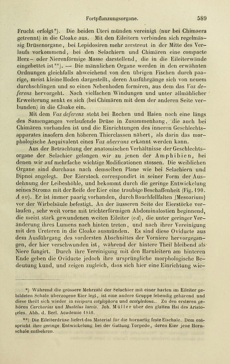 Frucht erfolgt*). Die beiden Uteri münden vereinigt (nur bei Chimaera getrennt) in die Cloake aus. Mit den Eileitern verbinden sich regelmäs- sig Drüsenorgane, bei Lepidosiren mehr zerstreut in der Mitte des Ver- laufs vorkommend, bei den Selachiern und Chimären eine compacte Herz- oder Nierenförmige Masse darstellend, die in die Eileiterwände eingebettet ist**). — Die männlichen Organe werden in den erwähnten Ordnungen gleichfalls abweichend von den übrigen Fischen durch paa- rige, meist kleine Hoden dargestellt, deren Ausführgänge sich von neuem durchschlingen und so einen Nebenhoden formiren, aus dem das Vas de- ferens hervorgeht. Nach vielfachen Windungen und unter allmählicher Erweiterung senkt es sich (bei Chimären mit dem der anderen Seite ver- bunden) in die Cloake ein. Mit dem Vas deferens steht bei Rochen und Haien noch eine längs des Samenganges verlaufende Drüse in Zusammenhang, die auch bei Chimären vorhanden ist und die Einrichtungen des inneren Geschlechts- apparates insofern den höheren Thierclassen nähert, als darin das mor- phologische Aequivalent eines Vas aberrans erkannt werden kann. Aus der Betrachtung der anatomischen Verhältnisse der Geschlechts- organe der Selachier gelangen wir zu jenen der Amphibien, bei denen wir auf mehrfache wichtige Modifikationen stossen. Die weiblichen Organe sind durchaus nach demselben Plane wie bei Selachiern und Dipnoi angelegt. Der Eierstock correspondirt in seiner Form der Aus- dehnung der Leibeshöhle, und bekommt durch die geringe Entwickelung seines Stroma mit der Reife der Eier eine traubige Beschaffenheit (Fig. 190. A ov). Er ist immer paarig vorhanden, durch Bauchfellfalten .(Mesoarium) vor der Wirbelsäule befestigt. An der äusseren Seite der Eierstöcke ver- laufen , sehr weit vorne mit trichterförmigen Abdominalostien beginnend, die meist stark gewundenen weiten Eileiter (od), die unter geringer Ver- änderung ihres Lumens nach hinten treten, und nach ihrer Vereinigung mit den Ureteren in die Cloake ausmünden. Es sind diese Oviducte aus dem Ausführgang des vordersten Abschnittes der Vorniere hervorgegan- gen, der hier verschwunden ist, während der hintere Theil bleibend als Niere fungirt. Durch ihre Vereinigung mit den Harnleitern am hinteren Ende geben die Oviducte jedoch ihre ursprüngliche morphologische Be- deutung kund, und zeigen zugleich, dass sich hier eine Einrichtung wie- *) Während die grössere Mehrzahl der Selachier mit einer harten im Eileiter ge- bildeten Schale überzogene Eier legt, ist eine andere Gruppe lebendig gebärend und diese theilt sich wieder in vivipara cotylophora und acotyledona.. Zu den ersteren ge- hören Carcharias und Mustelus laevis. Joh. Müller über den glatten Hai des Aristo- teles. Abh. d. Berl. Academie 4 840. **) Die Eileiterdrüse liefert das Material für die hornartig feste Eischale. Dem ent- spricht ihre geringe Entwickelung bei der Gattung Torpedo, deren Eier jene Horn- schale entbehren.