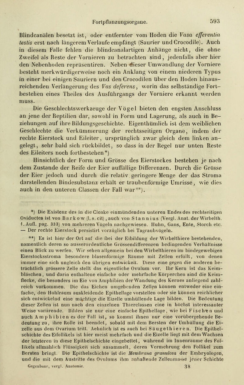 Blindcanälen besetzt ist, oder entfernter vom Hoden die Vasa efferentia testis erst nach längerem Verlaufe empfängt (Saurier undCrocodile). Auch in diesem Falle fehlen die blindcanalartigen Anhänge nicht, die ohne Zweifel als Reste der Vornieren zu betrachten sind, jedenfalls aber hier den Nebenhoden repräsentiren. Neben dieser Umwandlung der Vorniere besteht merkwürdigerweise noch ein Anklang von einem niederen Typus in einer bei einigen Sauriern und den Crocodilen über den Hoden hinaus- reichenden Verlängerung des Vas deferens, worin das selbständige Fort- bestehen eines Theiles des Ausführgangs der Vorniere erkannt werden muss. Die Geschlechtswerkzeuge der Vögel bieten den engsten Anschluss an jene der Reptilien dar, sowohl in Form und Lagerung, als auch in Be- ziehungen auf ihre Bildungsgeschichte. Eigenthümlich ist dem weiblichen Gescblechte die Verkümmerung der rechtsseitigen Organe, indem der rechte Eierstock und Eileiter, ursprünglich zwar gleich dem linken an- gelegt, sehr bald sich rückbildet, so dass in der Regel nur unten Reste des Eileiters noch fortbestehen*) Hinsichtlich der Form und Grösse des Eierstockes bestehen je nach dem Zustande der Reife der Eier auffällige Differenzen. Durch die Grösse der Eier jedoch und durch die relativ geringere Menge der das Stroma darstellenden Bindesubstanz erhält er traubenförmige Umrisse, wie dies auch in den unteren Classen der Fall war**). *) Die Existenz des in dieCloake einmündenden unteren Endes des rechtseitigen Oviductes ist von Barkow (I. s. cit), auch von S ta n n ius (Vergl. Anat. derWirbellh. I.Aufl. pag. 333) von mehreren Vögeln nachgewiesen. Huhn, Gans, Ente, Storch etc. — Der rechte Eierstock persistirt vorzüglich bei Tagraubvögeln. **) Es ist hier der Ort auf die ibei der Eibildung der Wirbelthiere bestehenden, namentlich deren so ausserordentliche Grössendifferenzen bedingenden Verhältnisse einen Blick zuwerfen. Wir sehen allgemein bei denWirbelthieren im bindegewebigen Eierstocksstroma besondere blasenförmige Räume mit Zellen erfüllt, von denen immer eine sich ungleich den übrigen entwickelt. Diese eine gegen die anderen be- trächtlich grössere Zelle stellt das eigentliche Ovulum vor. Ihr Kern ist das Keim- bläschen, und darin enthaltene einfache oder mehrfache Körperchen sind die Keim- flecke, die besonders im Eie von Amphibien der Wandung des Kernes anliegend zahl- reich vorkommen. Die das Eichen umgebenden Zellen können entweder eine ein- fache, den Hohlraum auskleidende Epithellage vorstellen oder sie können reichlicher sich entwickelnd eine mächtige die Eizelle umhüllende Lage bilden. Die Bedeutung dieser Zellen ist nun nach den einzelnen Thierclassen eine in höchst interessanter Weise variirende. Bilden sie nur eine einfache Epithellage, wie bei Fischen und auch Amp h ibien es der Fall ist, so kommt ihnen nur eine vorübergehende Be- deutung zu, ihre Rolle ist beendet, sobald mit dem Bersten der Umhüllung die Ei- zelle aus dem Ovarium tritt. Aehnlich ist es auch bei Säugethieren. Die Epithel- schichte des Eifollikels ist hier meist mehrfach und die Eizelle liegt mit dem Wachsen der letzteren in diese Epithelschichte eingebettet, während im Innenraume des Fol- likels allmählich Flüssigkeil sich ansammelt, deren Vermehrung den Follikel zum Bersten bringt. Die Epithelschichle ist die Membrana granulosa der Embryologen, und die mit dem Austritte des Ovulums ihm anhaftende Zellenmasse jener Schichte Gegenbaur, vergl. Analomie. 38