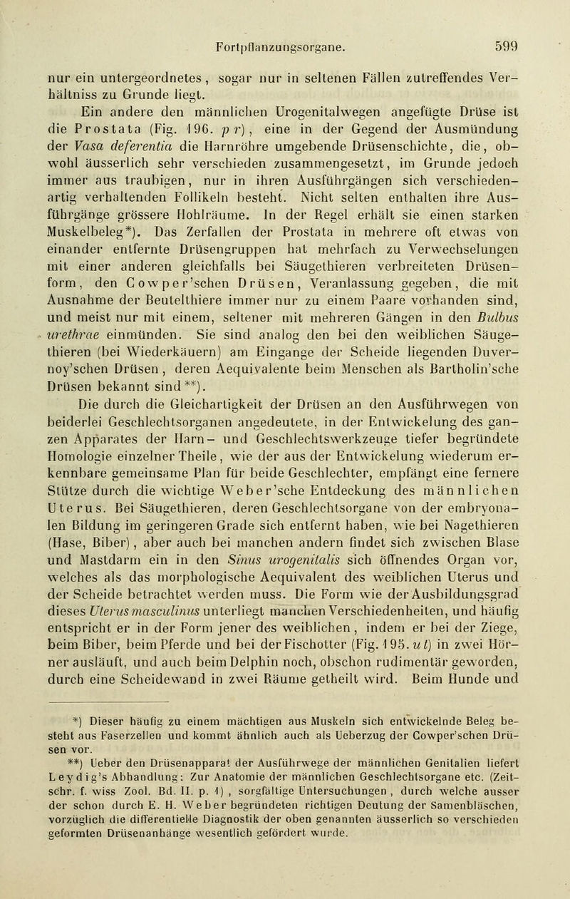 nur ein untergeordnetes , sogar nur in seltenen Fällen zutreffendes Ver- hältniss zu Grunde liegt. Ein andere den männlichen Urogenitalwegen angefügte Drüse ist die Prostata (Fig. 196. p r) , eine in der Gegend der Ausmündung der Vasa deferentia die Harnröhre umgebende Drüsenschichte, die, ob- wohl äusserlich sehr verschieden zusammengesetzt, im Grunde jedoch immer aus traubigen, nur in ihren Ausführgängen sich verschieden- artig verhaltenden Follikeln besteht. Nicht selten enthalten ihre Aus- führgänge grössere Hohlräume. In der Regel erhält sie einen starken Muskelbeleg*). Das Zerfallen der Prostata in mehrere oft etwas von einander entfernte Drüsengruppen hat mehrfach zu Verwechselungen mit einer anderen gleichfalls bei Säugethieren verbreiteten Drüsen- form, den Cowper'schen Drüsen, Veranlassung gegeben, die mit Ausnahme der Beutelthiere immer nur zu einem Paare vorhanden sind, und meist nur mit einem, seltener unt mehreren Gängen in den Bulbus urethrae einmünden. Sie sind analog den bei den weiblichen Säuge- thieren (bei Wiederkäuern) am Eingange der Scheide liegenden Duver- noy'schen Drüsen , deren Aequivalenle beim Menschen als Bartholin'sche Drüsen bekannt sind**). Die durch die Gleichartigkeit der Drüsen an den Ausführwegen von beiderlei Geschlechtsorganen angedeutete, in der Entwickelung des gan- zen Apparates der Harn- und Geschlechtswerkzeuge tiefer begründete Homologie einzelner Theile, wie der aus der Entwickelung wiederum er- kennbare gemeinsame Plan für beide Geschlechter, empfängt eine fernere Stütze durch die wichtige Weber'sche Entdeckung des männlichen Uterus. Bei Säugethieren, deren Geschlechtsorgane von der embryona- len Bildung im geringeren Grade sich entfernt haben, wie bei Nagethieren (Hase, Biber), aber auch bei manchen andern findet sich zwischen Blase und Mastdarm ein in den Sinus urogenitalis sich öffnendes Organ vor, welches als das morphologische Aequivalent des weiblichen Uterus und der Scheide betrachtet werden muss. Die Form wie der Ausbildungsgrad dieses Uterus masculinus unterliegt mauehen Verschiedenheiten, und häufig entspricht er in der Form jener des weiblichen, indem er bei der Ziege, beim Biber, beim Pferde und bei der Fischotter (Fig. 195.w/) in zwei Hör- ner ausläuft, und auch beim Delphin noch, obschon rudimentär geworden, durch eine Scheidewand in zwei Räume getheilt wird. Beim Hunde und *) Dieser häufig zu einem machtigen aus Muskeln sich entwickelnde Beleg be- steht aus Faserzellen und kommt ähnlich auch als Ueberzug der Cowper'schen Drü- sen vor. **) Ueber den Drüsenapparat der Ausführwege der männlichen Genitalien liefert Leydig's Abhandlung: Zur Anatomie der männlichen Geschlechtsorgane etc. (Zeit- schr. f. wiss Zool. Bd. II. p. \) , sorgfältige Untersuchungen, durch welche ausser der schon durch E. H. Weber begründeten richtigen Deutung der Samenbläschen, vorzüglich die differentieHe Diagnostik der oben genannten äusserlich so verschieden geformten Drüsenanhänge wesentlich gefördert wurde.